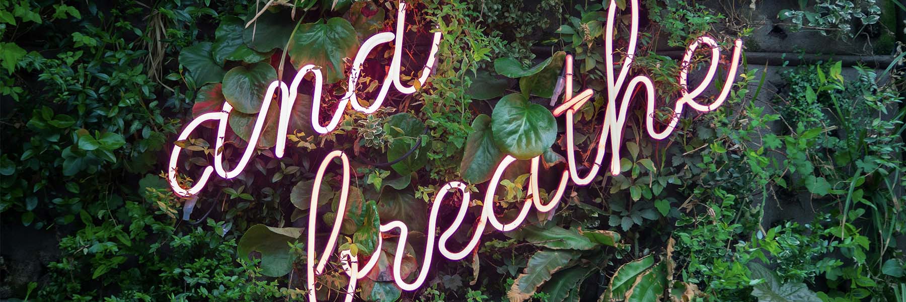 and Breathe neon sign for a journey within