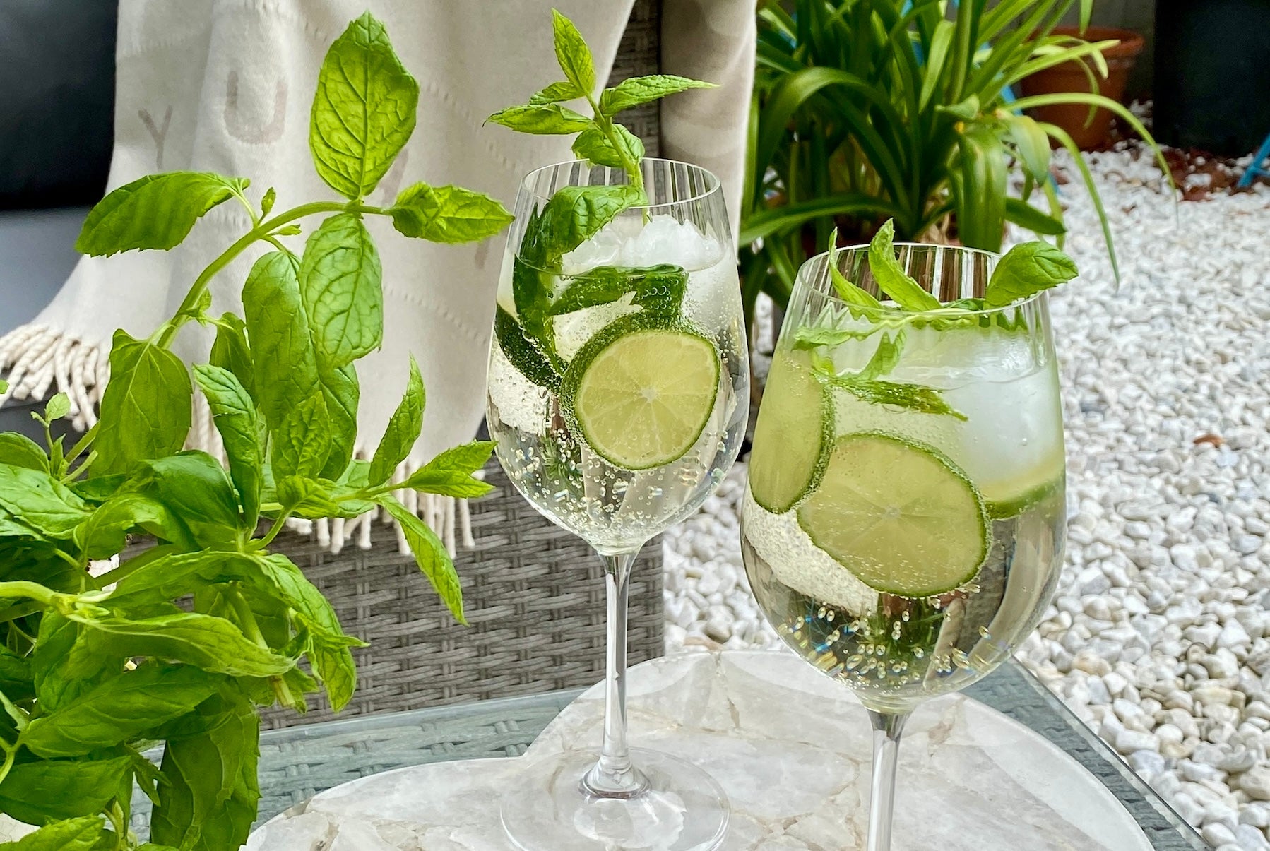 Summer Cocktails the Perfect Recipes for you this summer