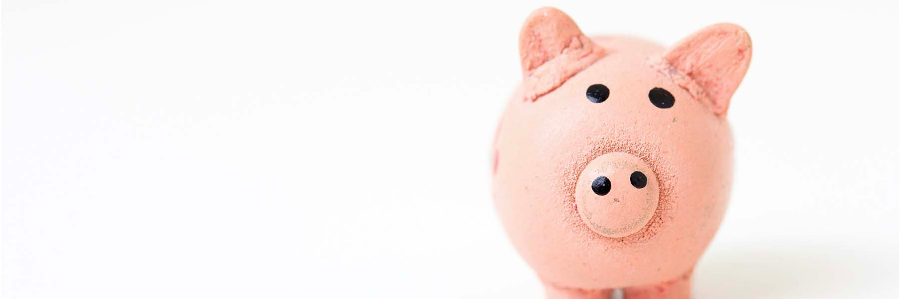 Piggy Bank on a white screen