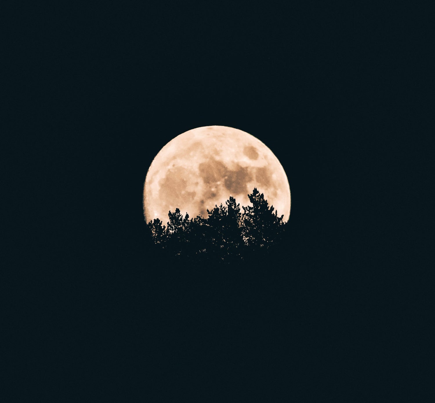 Full Moon & Mercury Retrograde: Navigate Today's Cosmic Energy