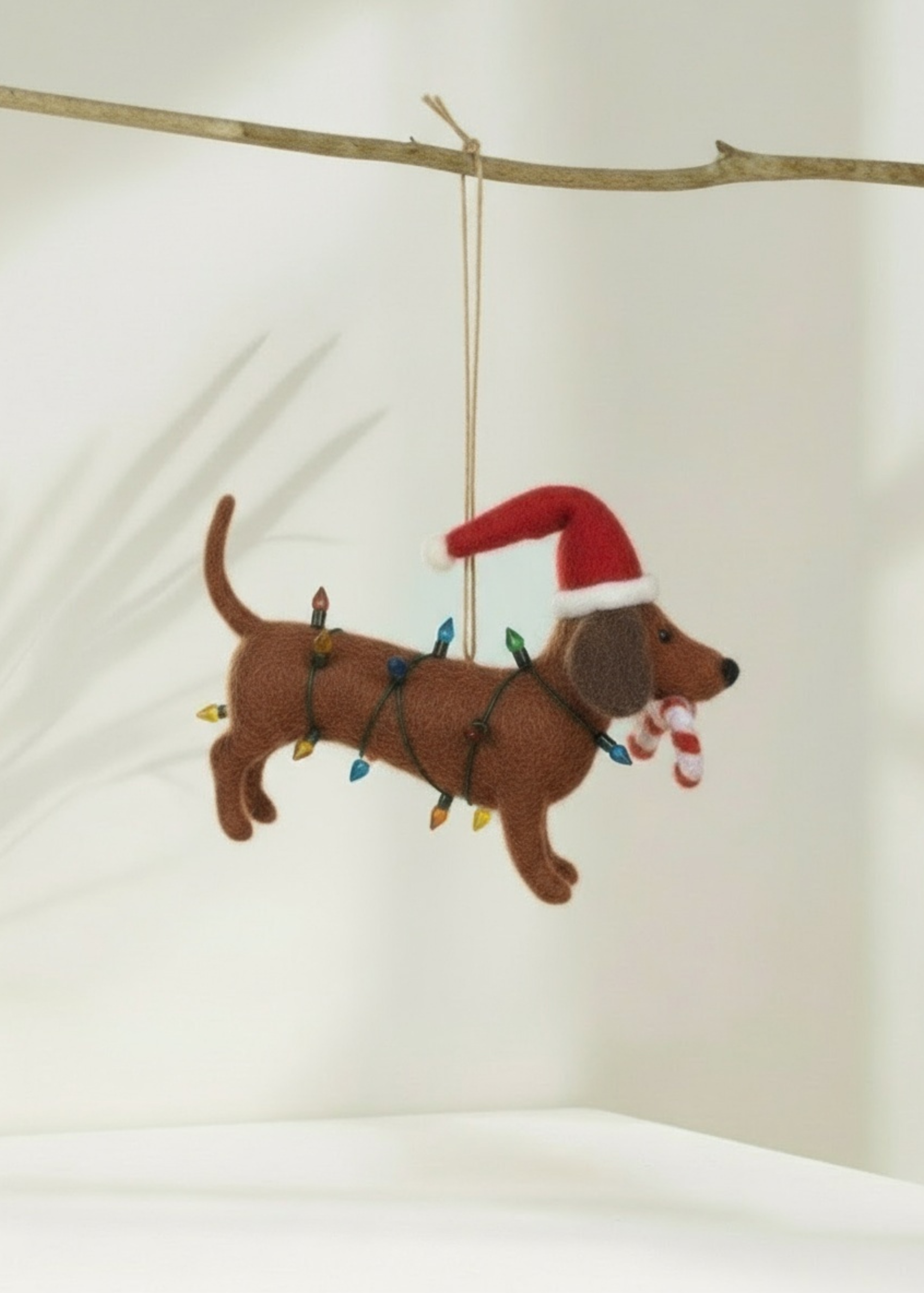 Truly Lifestyle Christmas Felt dachshund ornament with Santa hat and candy cane on a branch against a white background