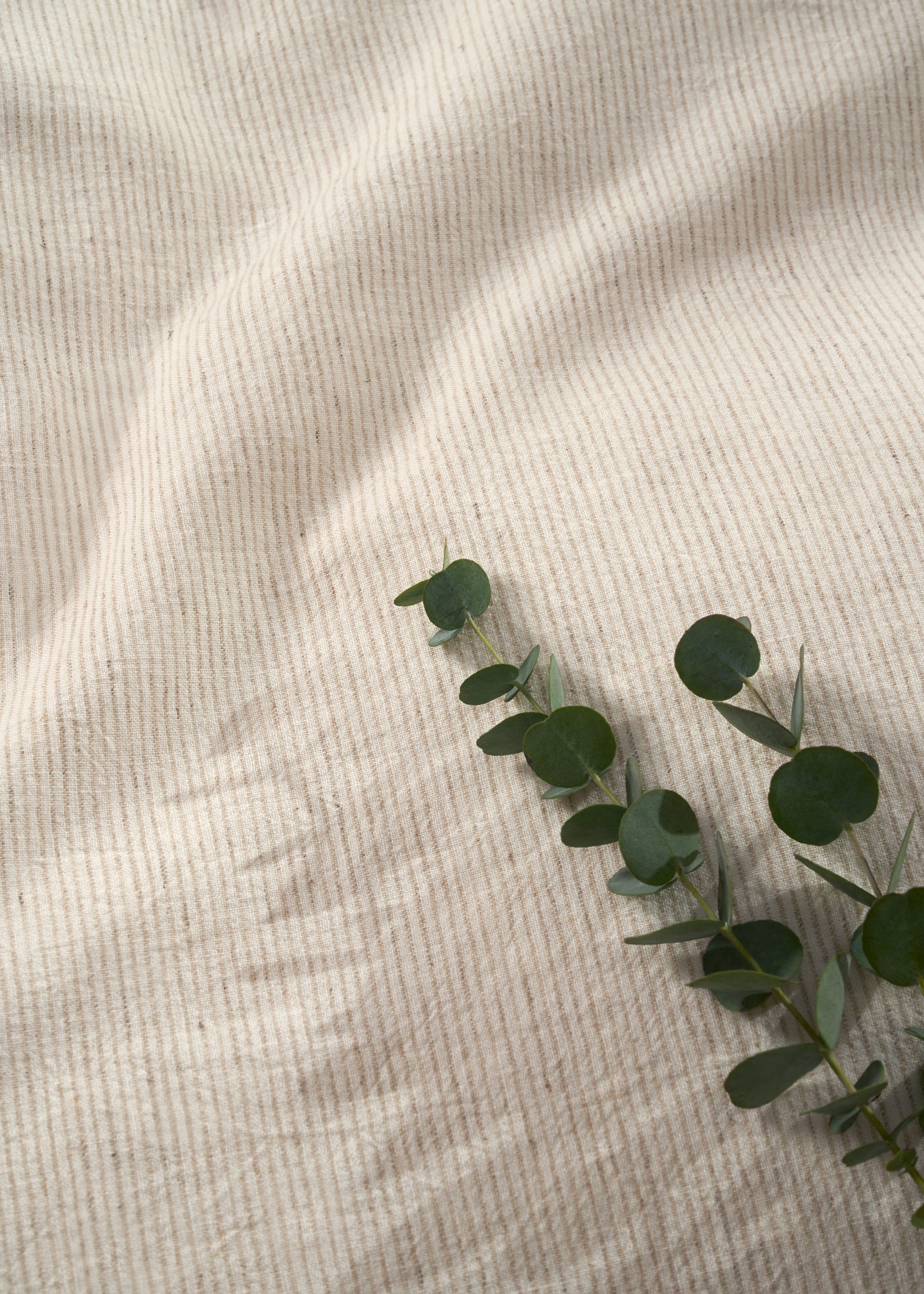 TRULY LIFESTYLE MUSHROOM STRIPED HOUSEWIFE PILLOWCASE SET CLOSE UP