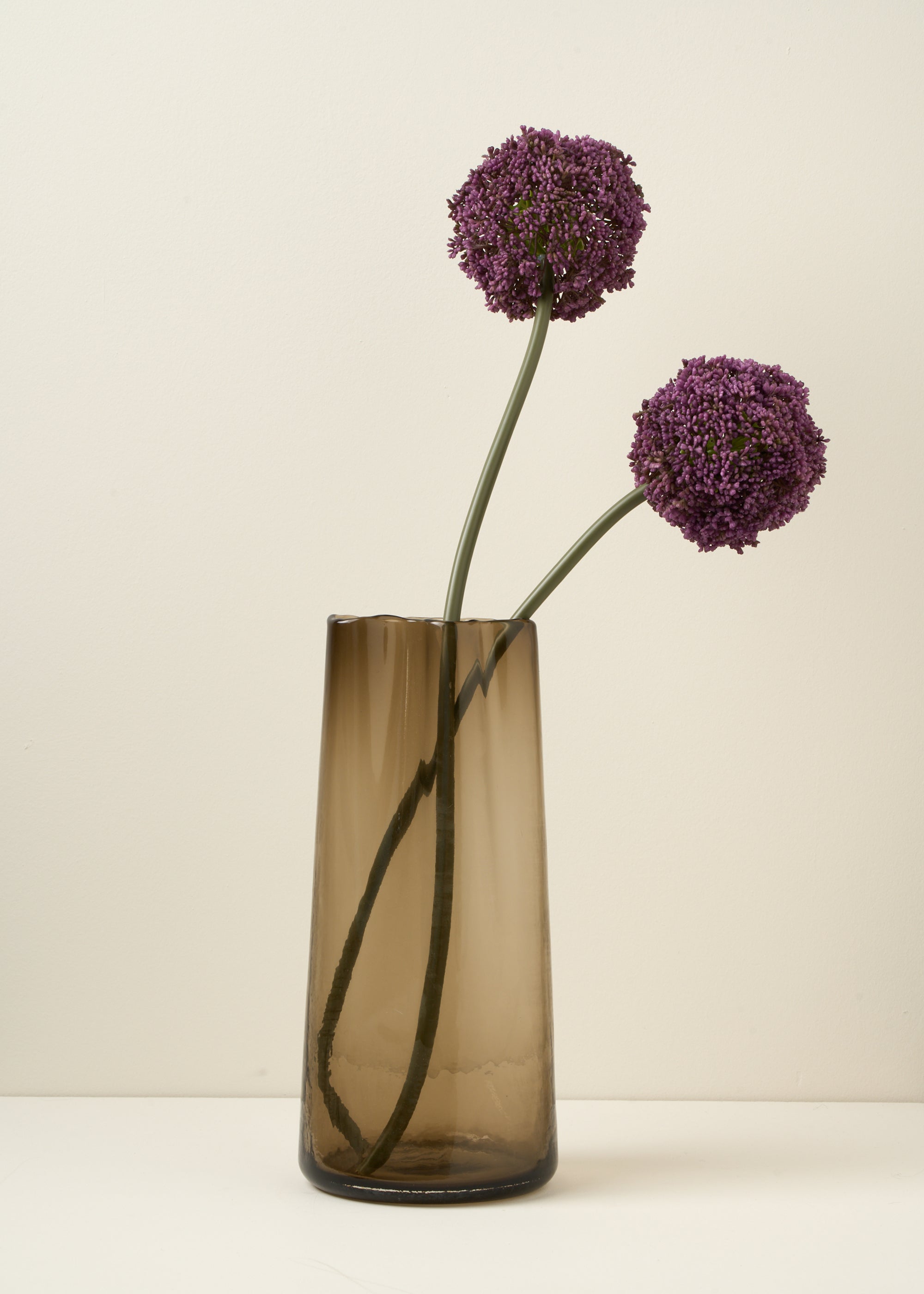 Truly Lifestyle Purple Allium Stems in Brown Tall Glass Vase