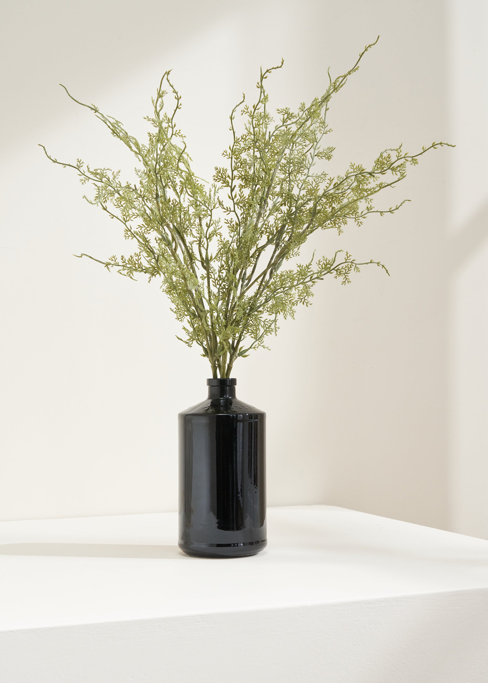 TRULY LIFESTYLE ASPARAGUS FERN BUNCH IN BLACK VASE