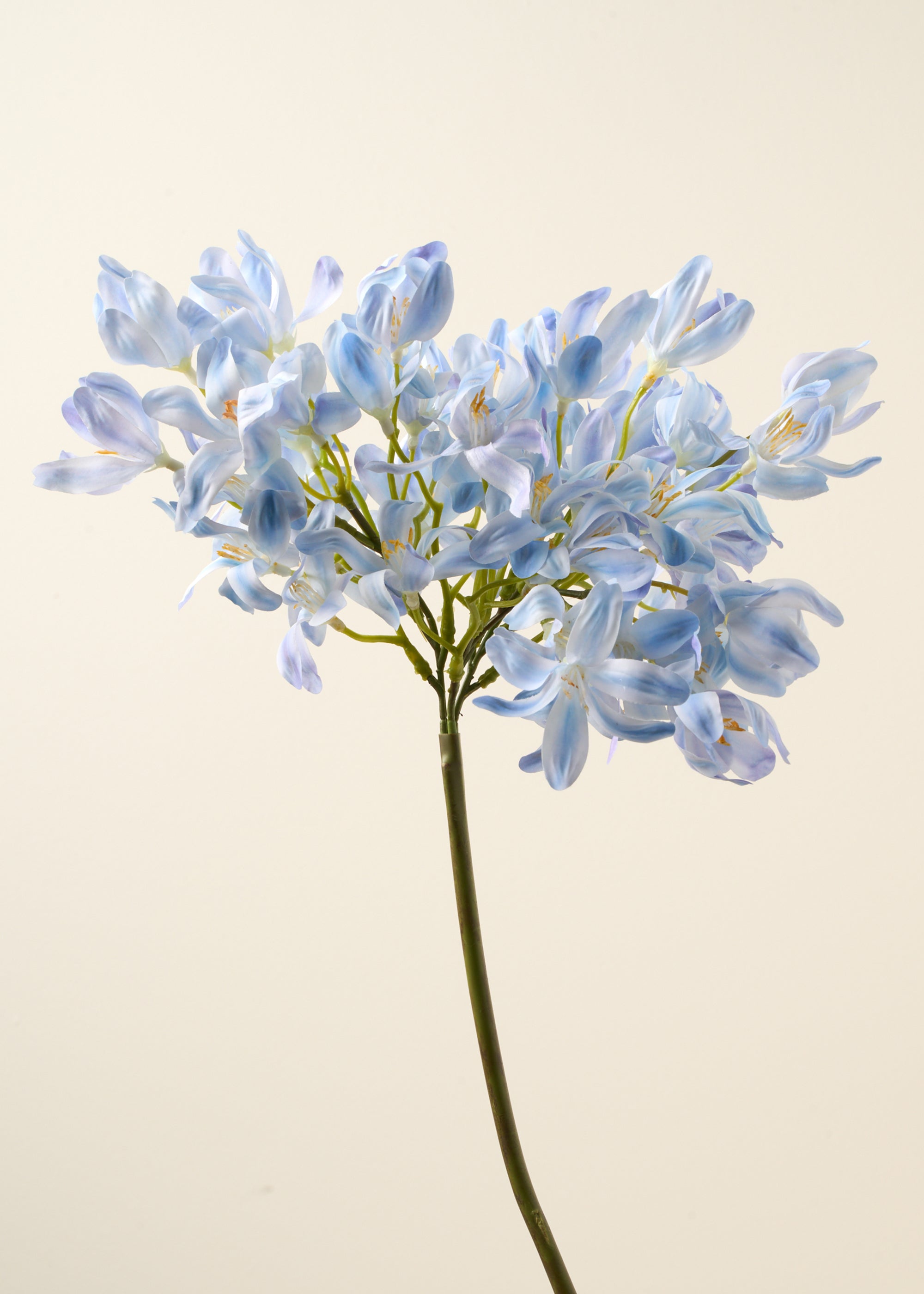 TRULY LIFESTYLE FAUX SINGLE AGAPANTHAS STEM CLOSE UP