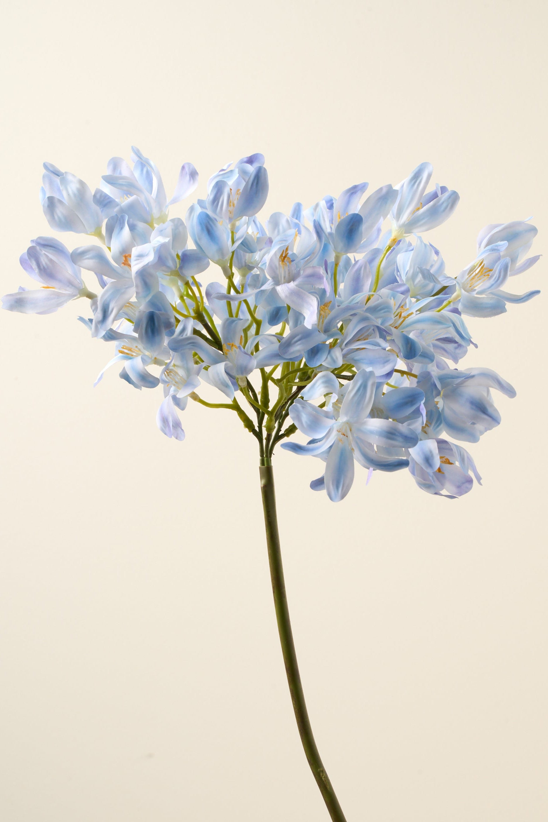 TRULY LIFESTYLE FAUX SINGLE AGAPANTHAS STEM CLOSE UP