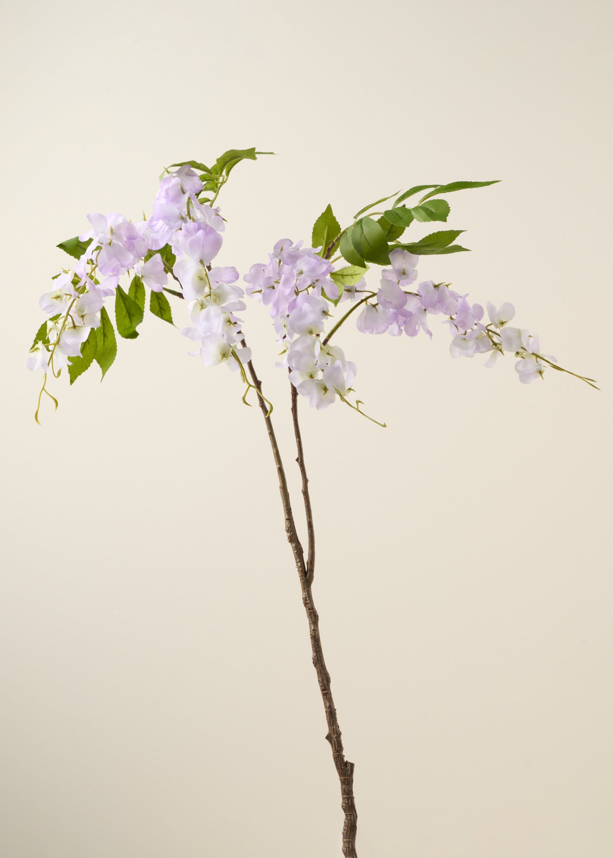 TRULY LIFESTYLE PURPLE ALLIUM SINGLE STEM