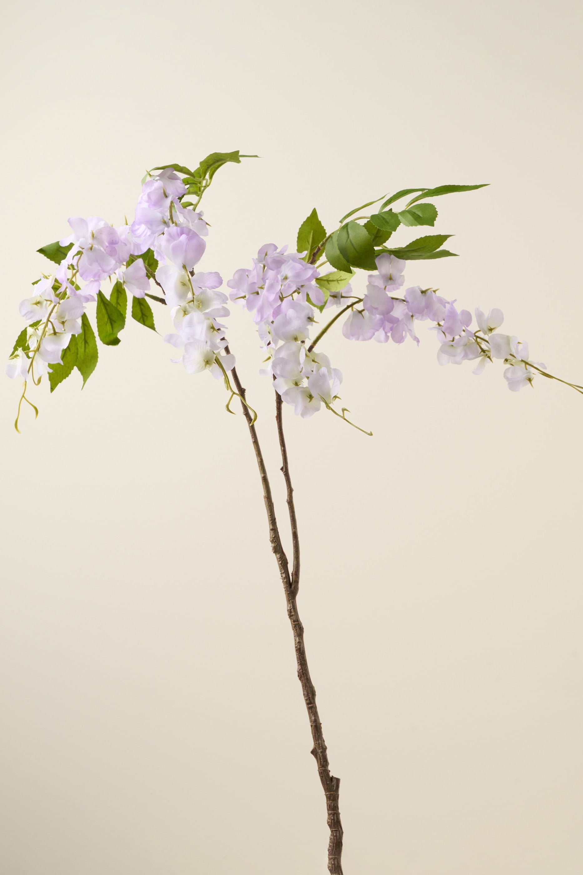 TRULY LIFESTYLE PURPLE ALLIUM SINGLE STEM
