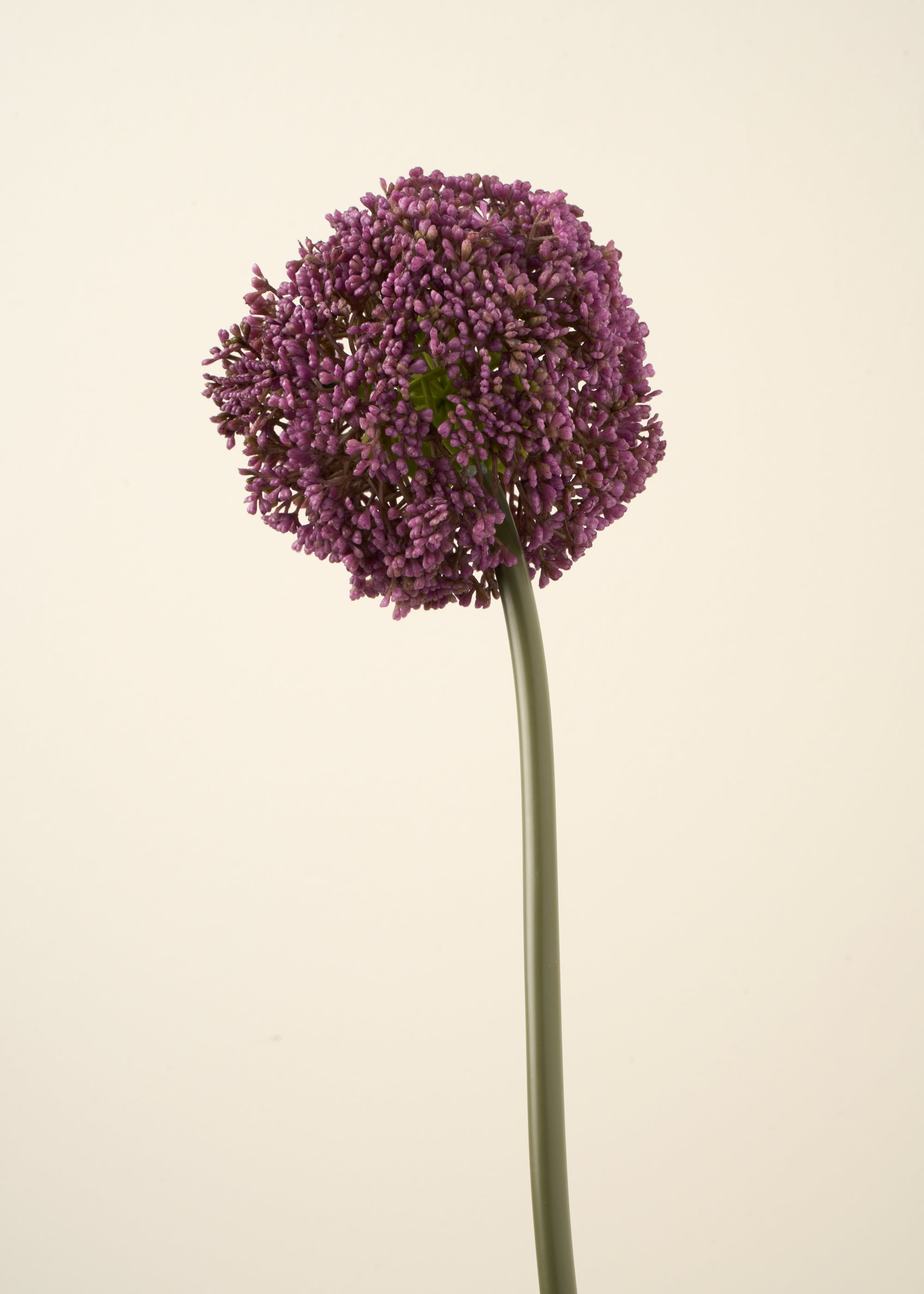 Truly Lifestyle Purple Allium Stem