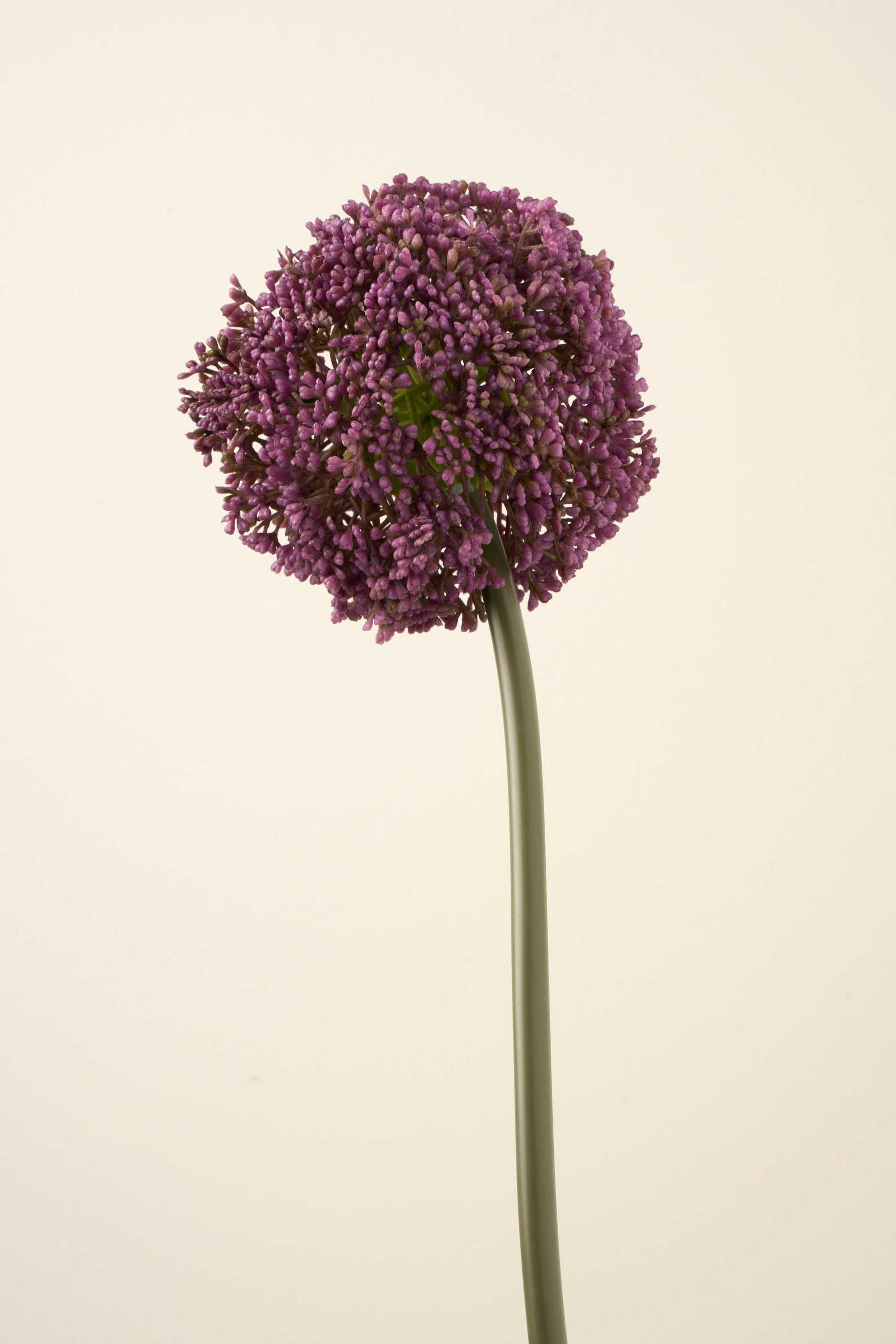 Truly Lifestyle Purple Allium Stem