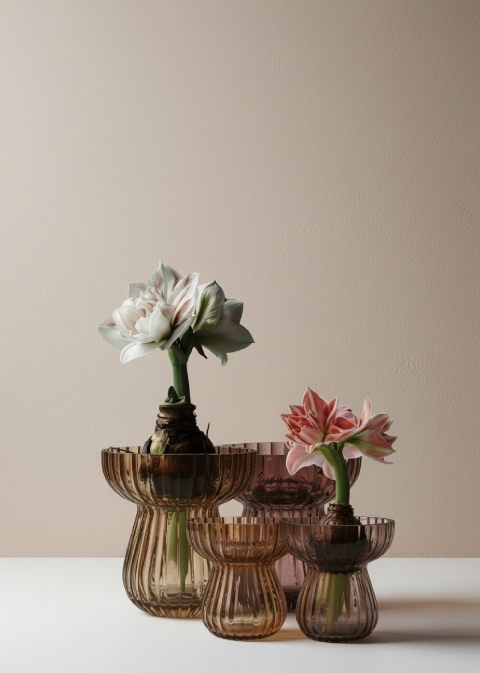 TRULY LIFESTYLE GLASS BULB VASE RANGE IN PLUM AND AMBER