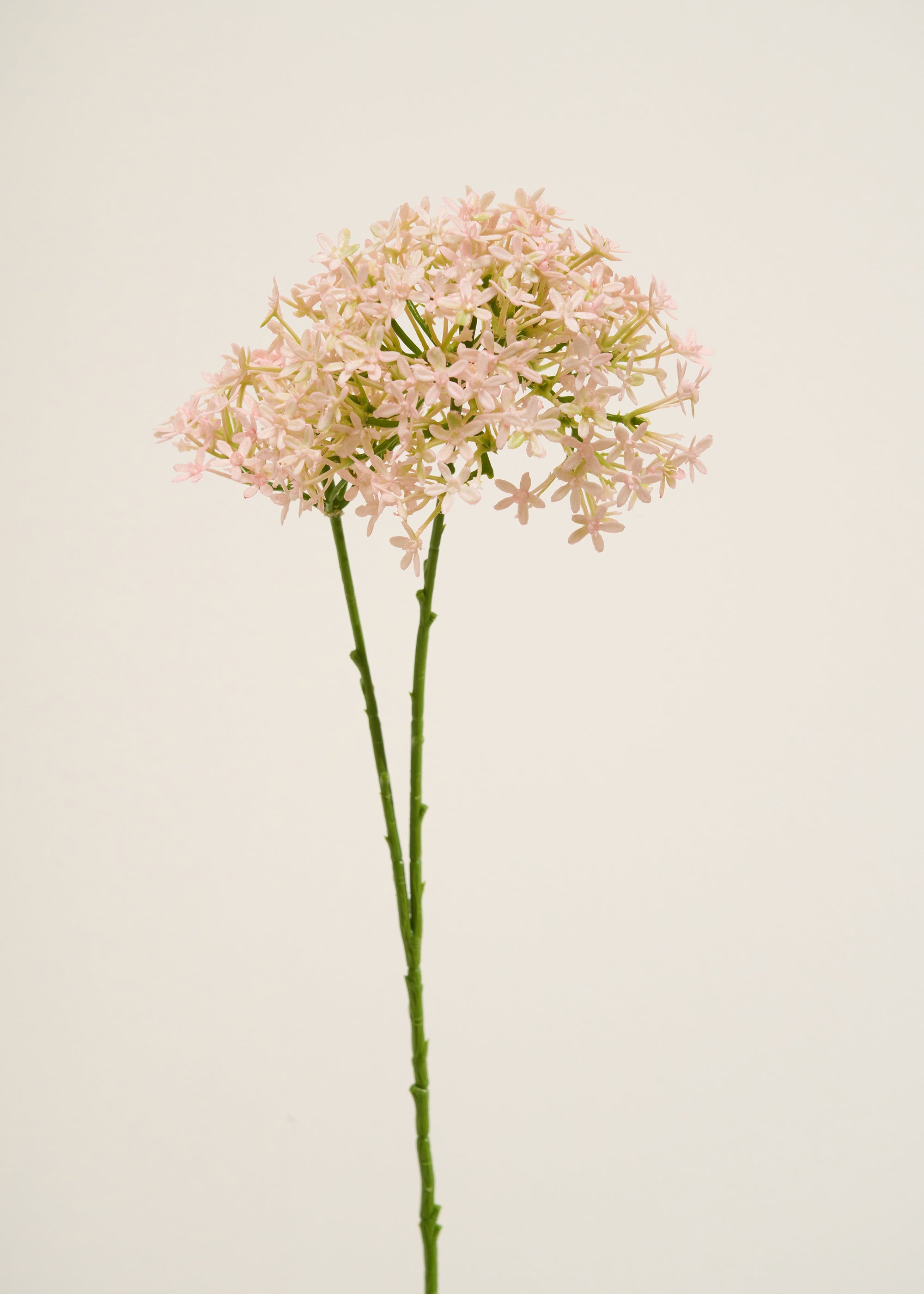 Truly Lifestyle Faux Blush Pink Hydrangea Single Stem