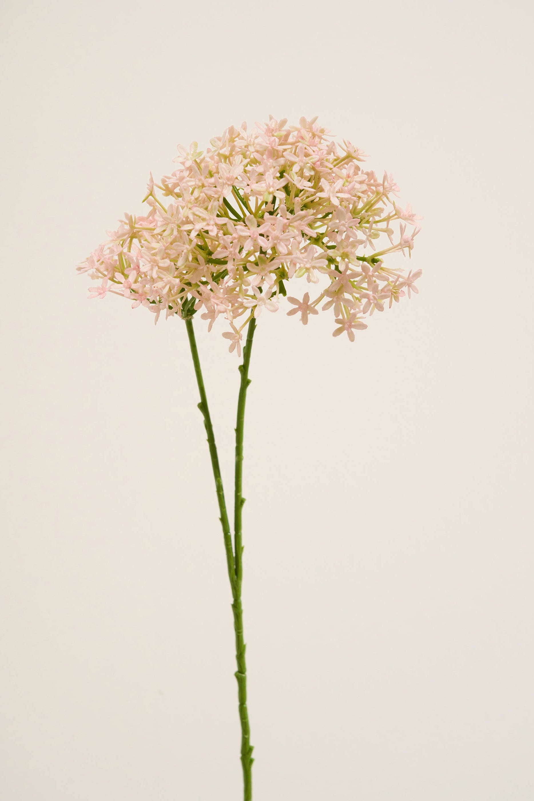 Truly Lifestyle Faux Blush Pink Hydrangea Single Stem