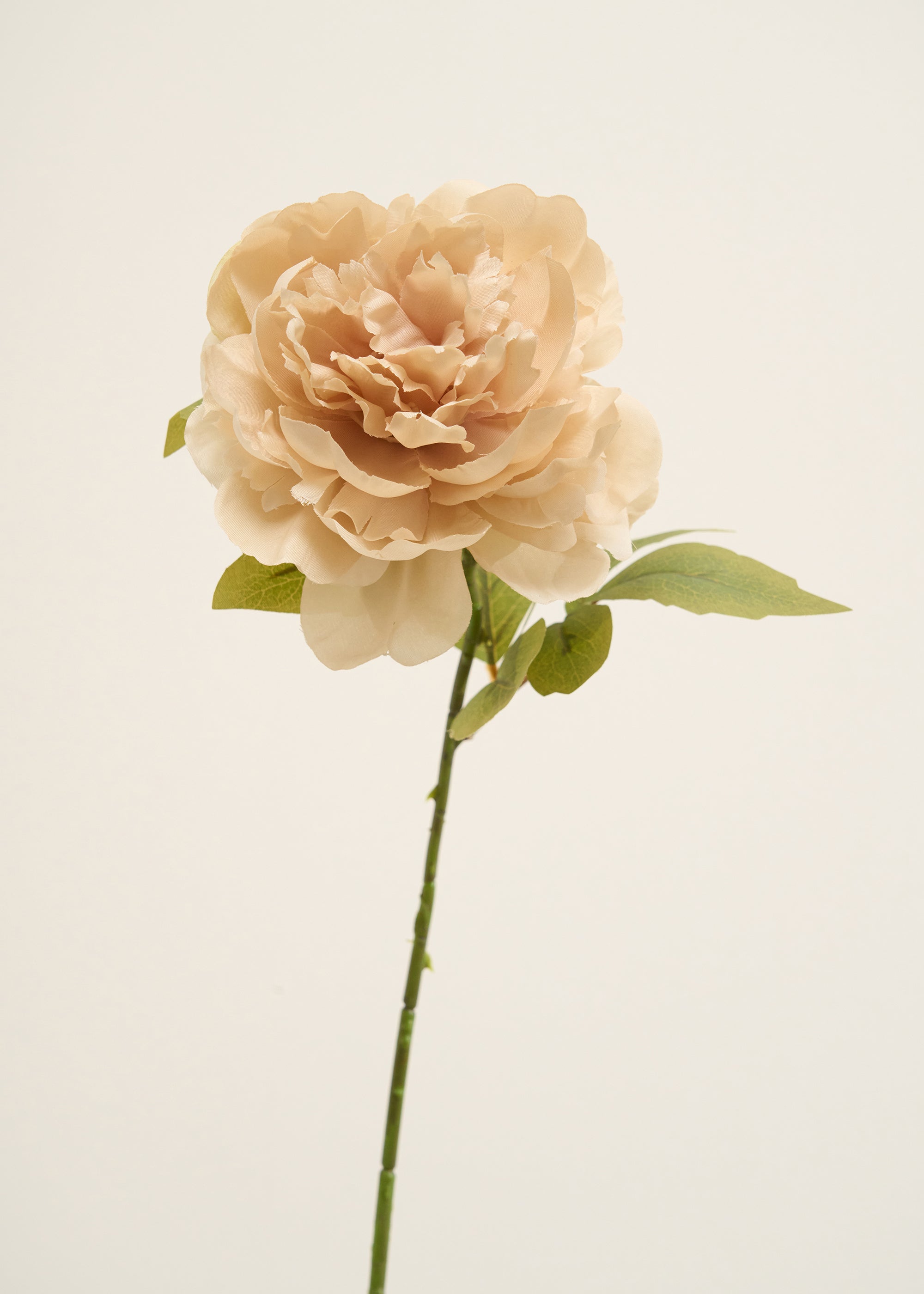 Truly Lifestyle Faux Blush Pink Peony Single Stem