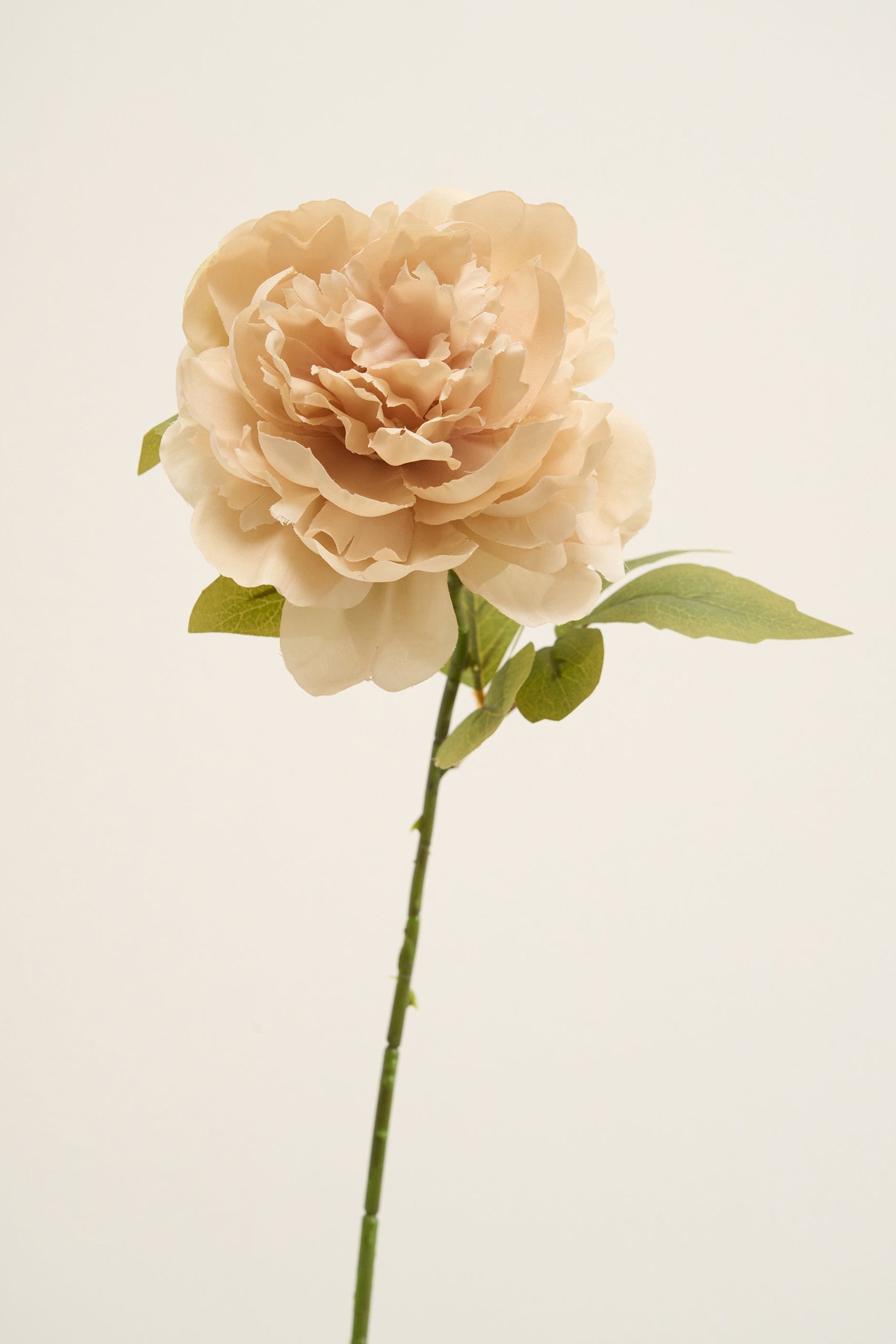 Truly Lifestyle Faux Blush Pink Peony Single Stem