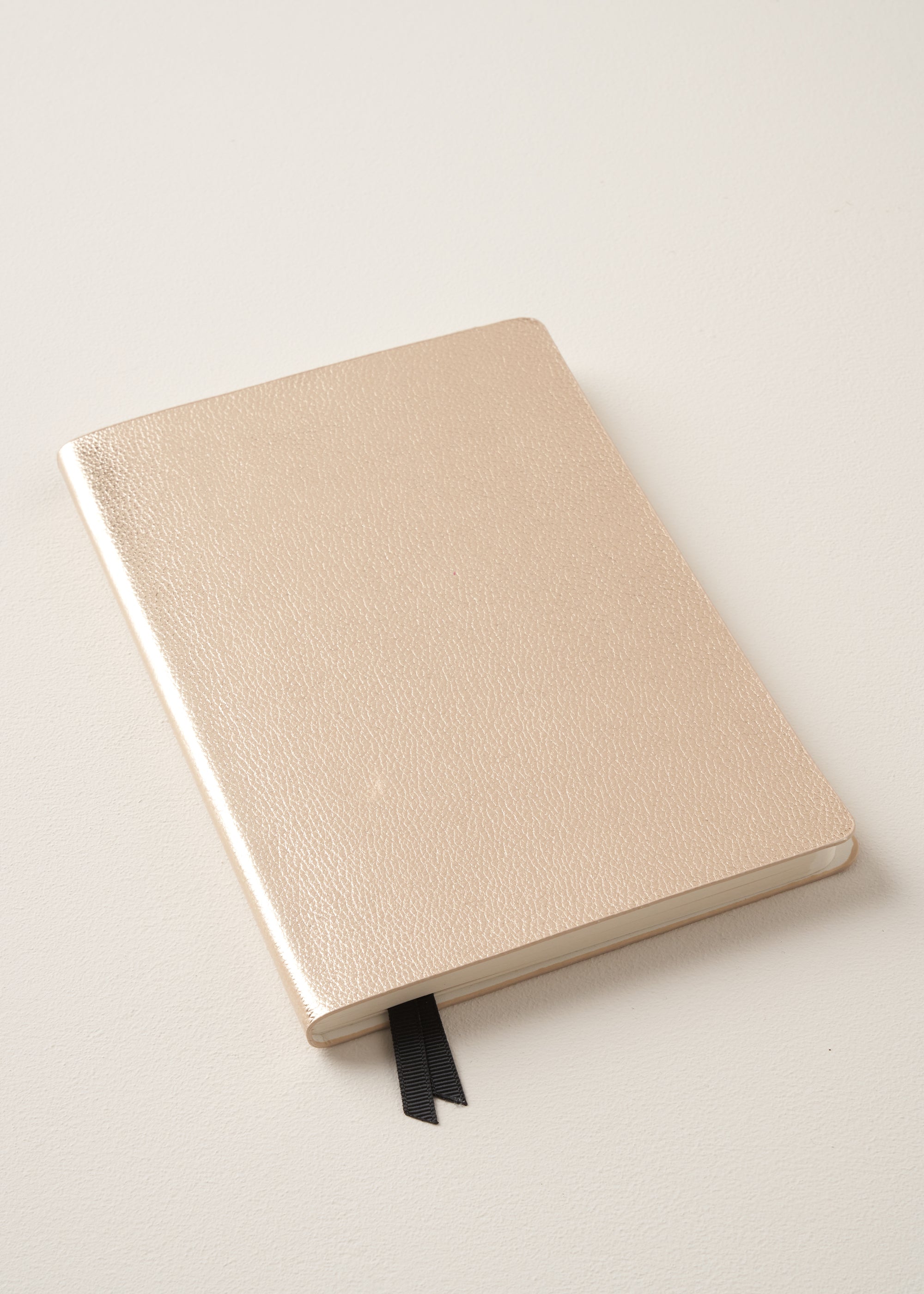 Truly Lifestyle Gold Notebook