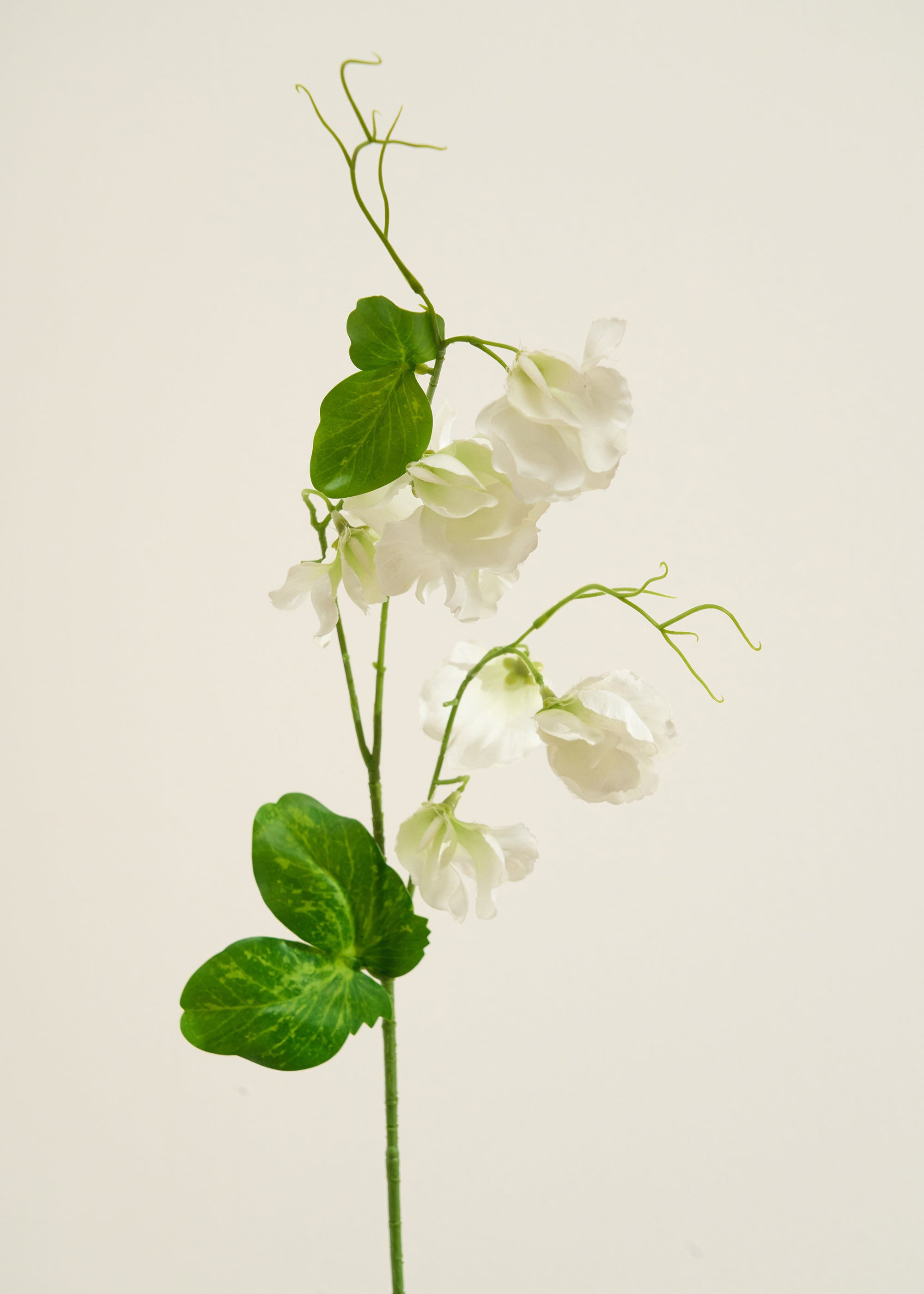 Truly Lifestyle Faux Sweetpea Single Stem