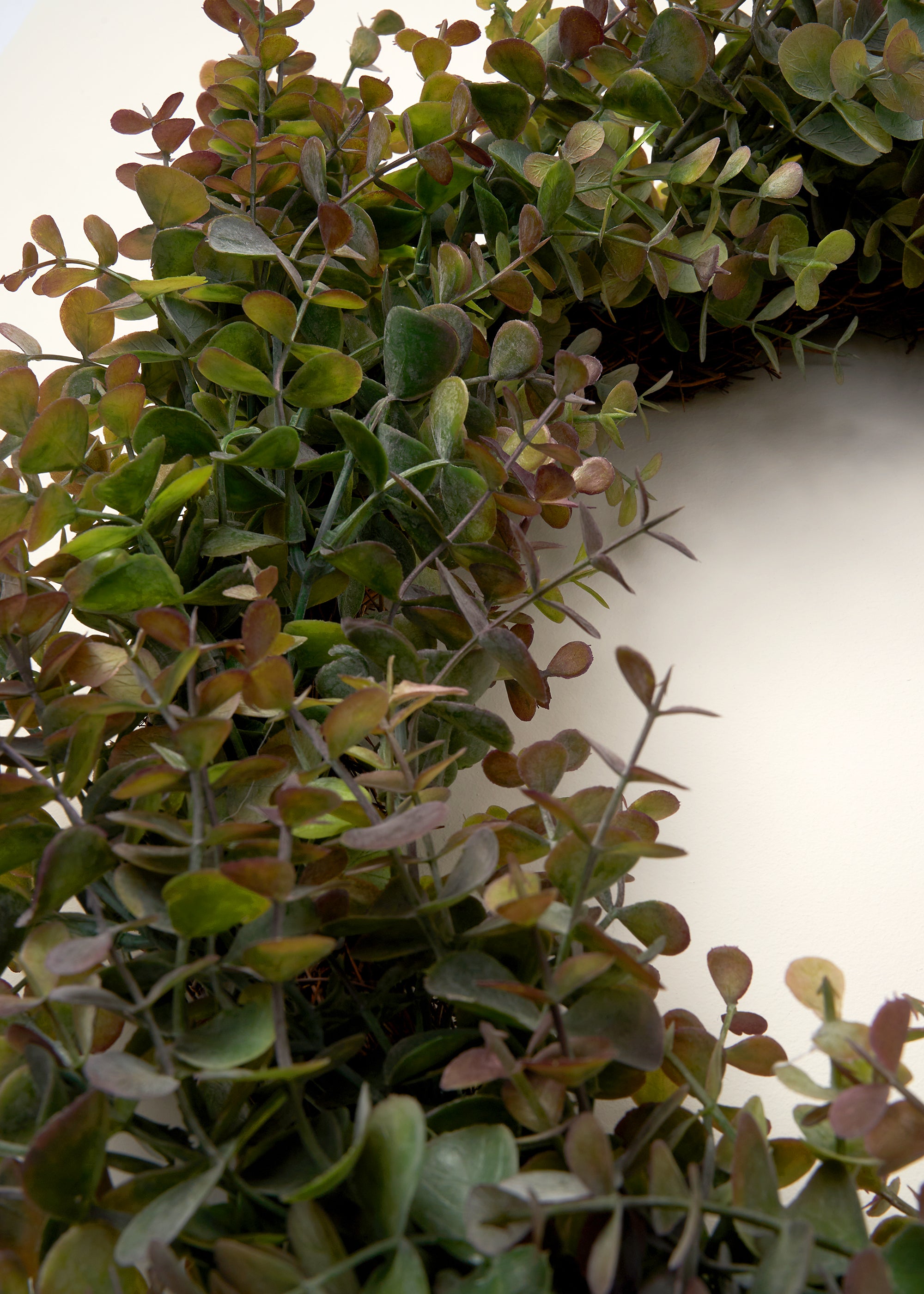 Eucalyptus Wreath