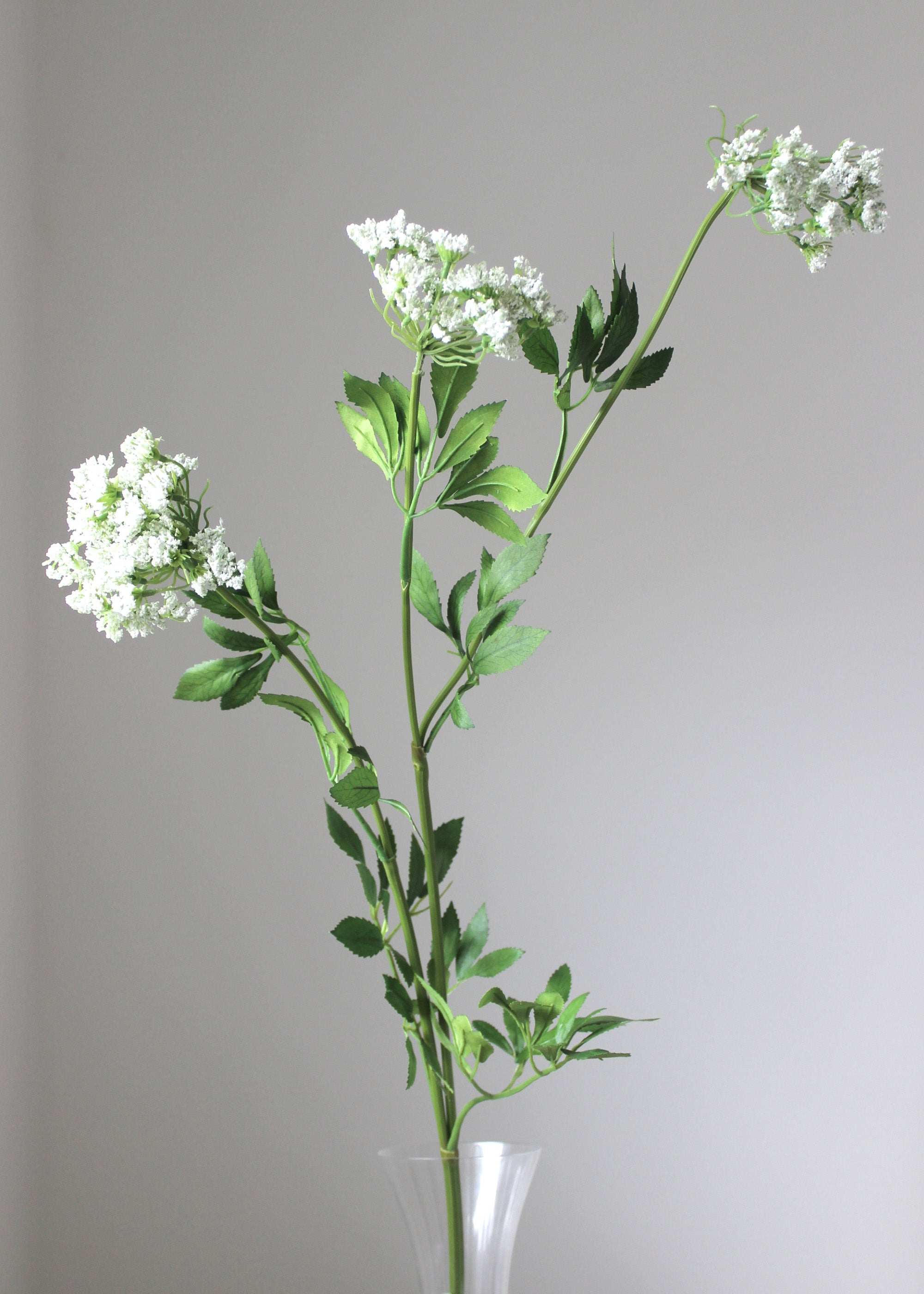 TRULY LIFESTYLE FAUX WHITE COW PARSLEY AMMI SINGLE STEM SINGLE STEM