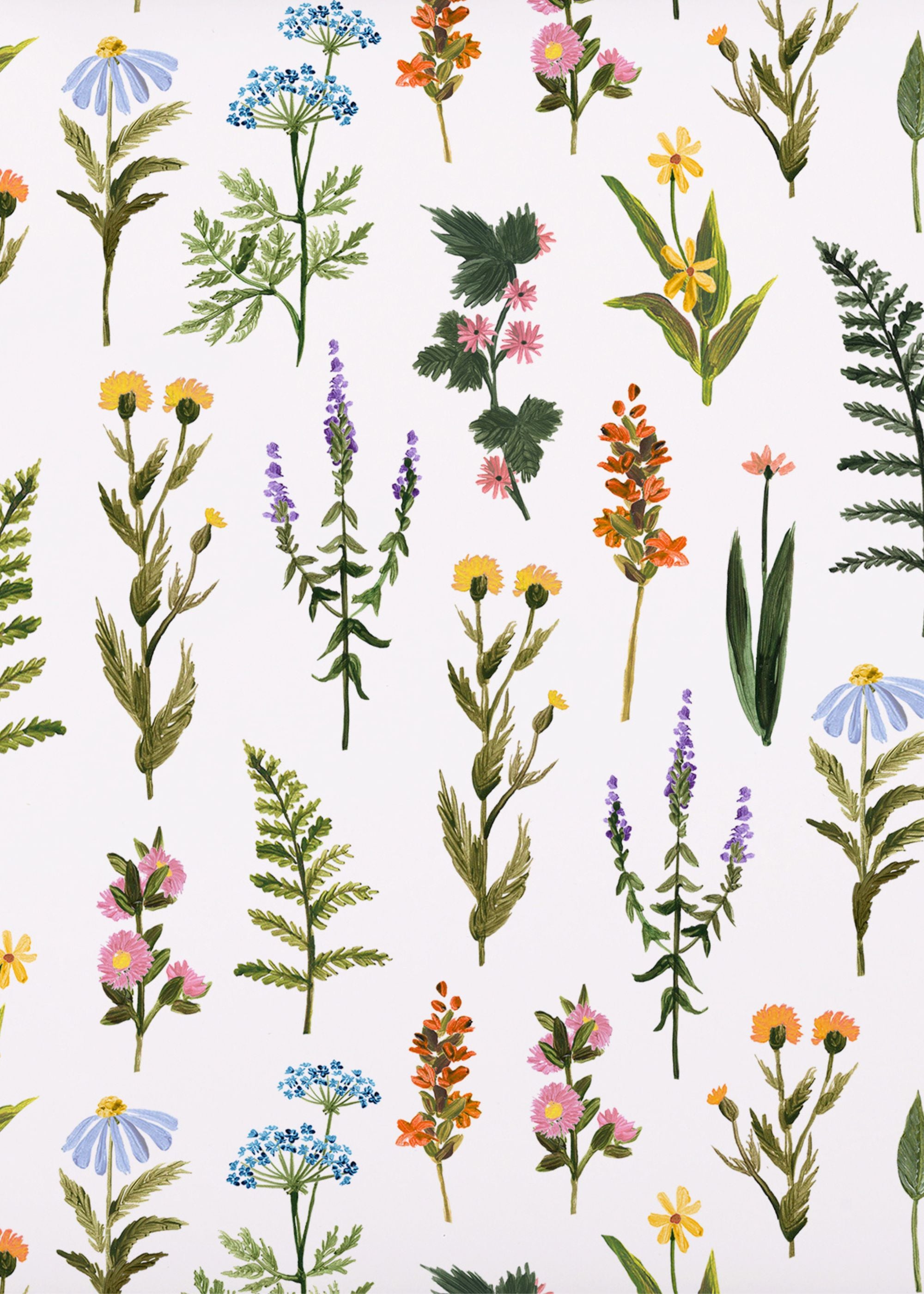 TRULY LIFESTYLE FERN AND FLOWER WRAPPING GIFT PAPER