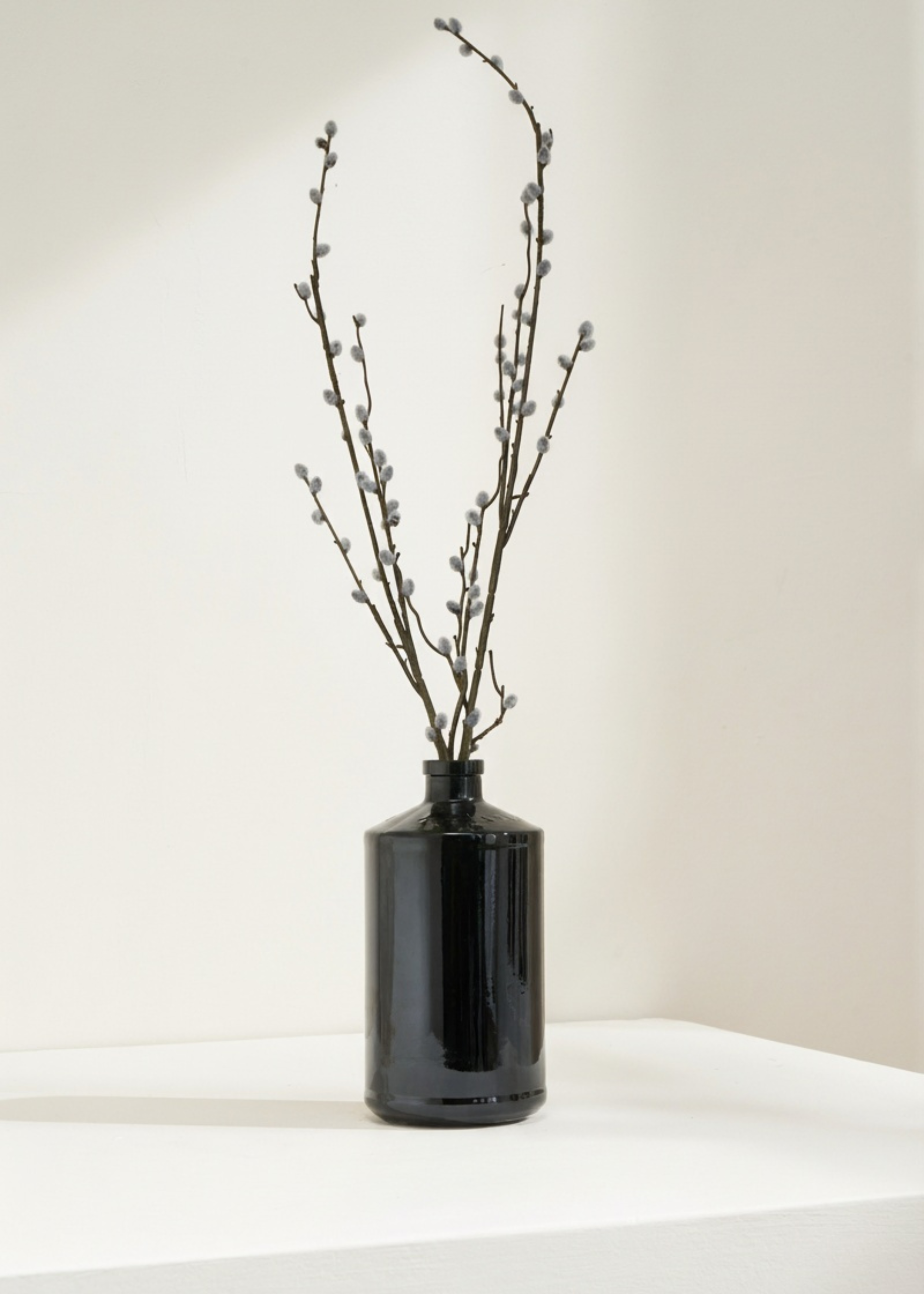 Truly Lifestyle Faux Pussy Willow Stems In Black Vase