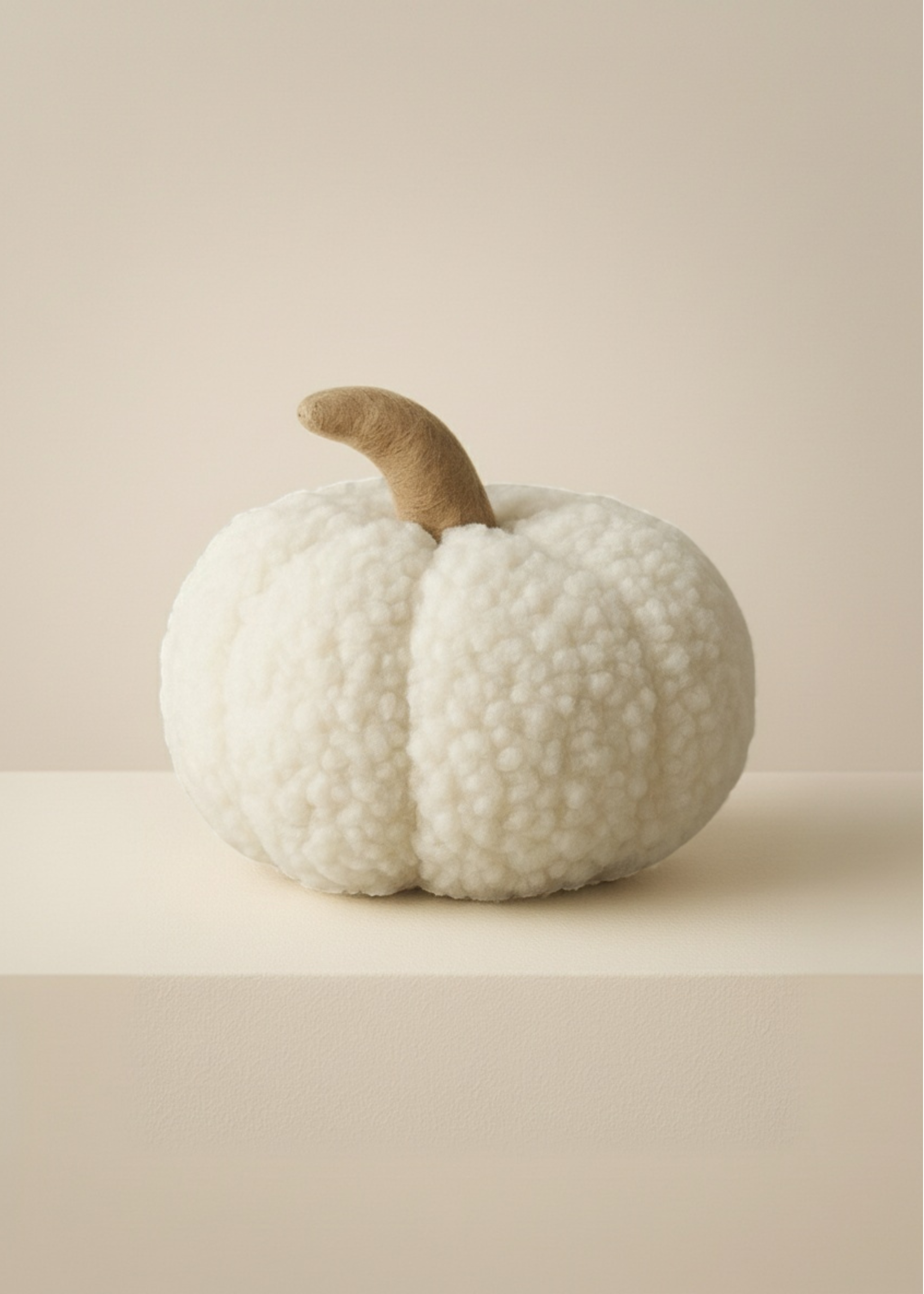 White woolly pumpkin with a brown stem on a beige background by Truly Lifestyle