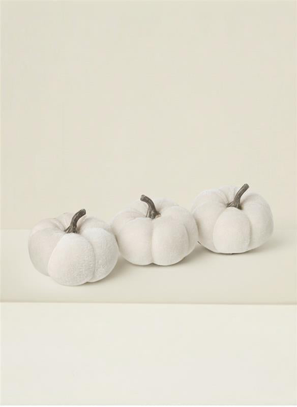 Three white pumpkins on a beige background by Truly Lifestyle