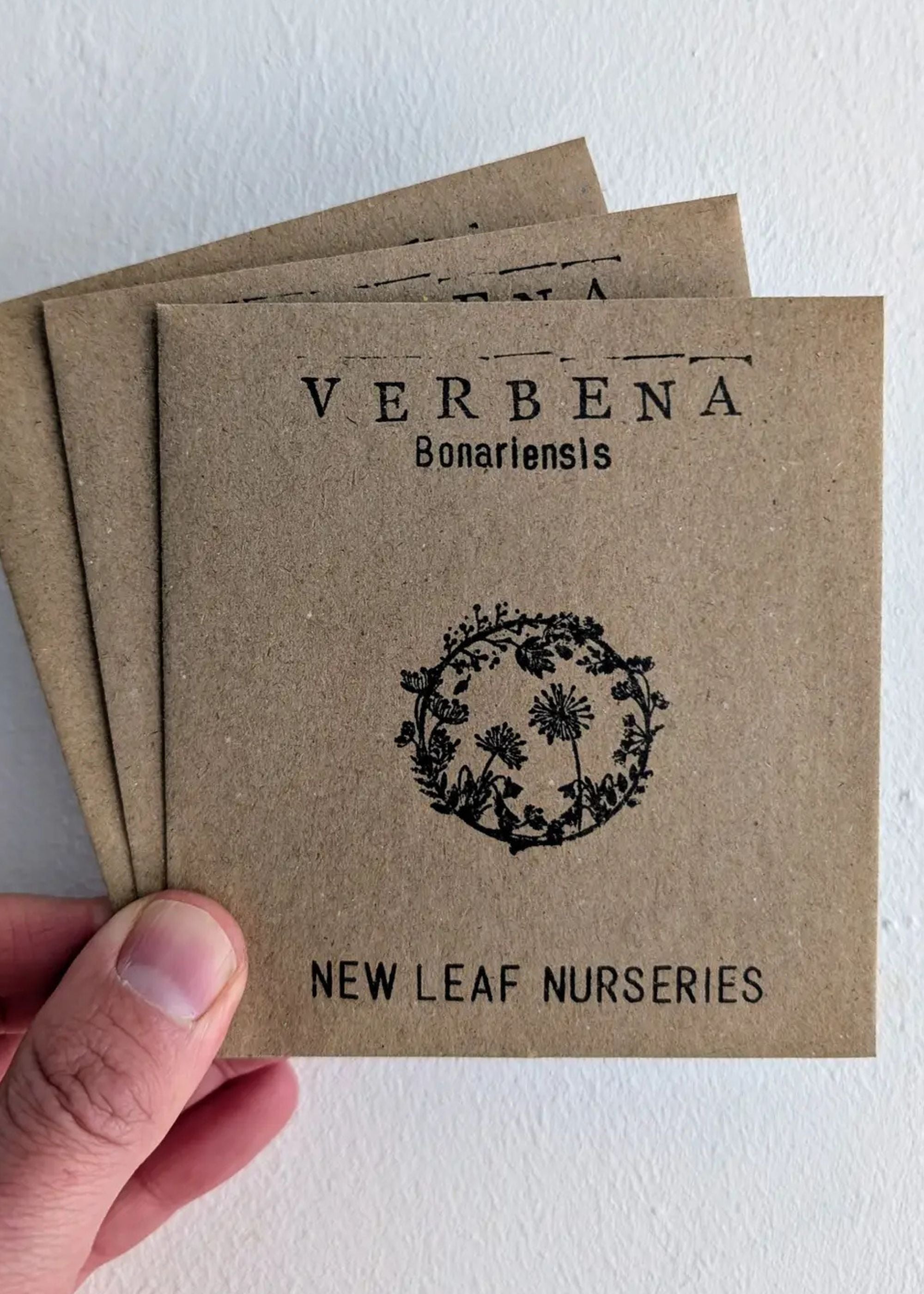 Truly Lifestyle Verbena Bonariensis Seeds