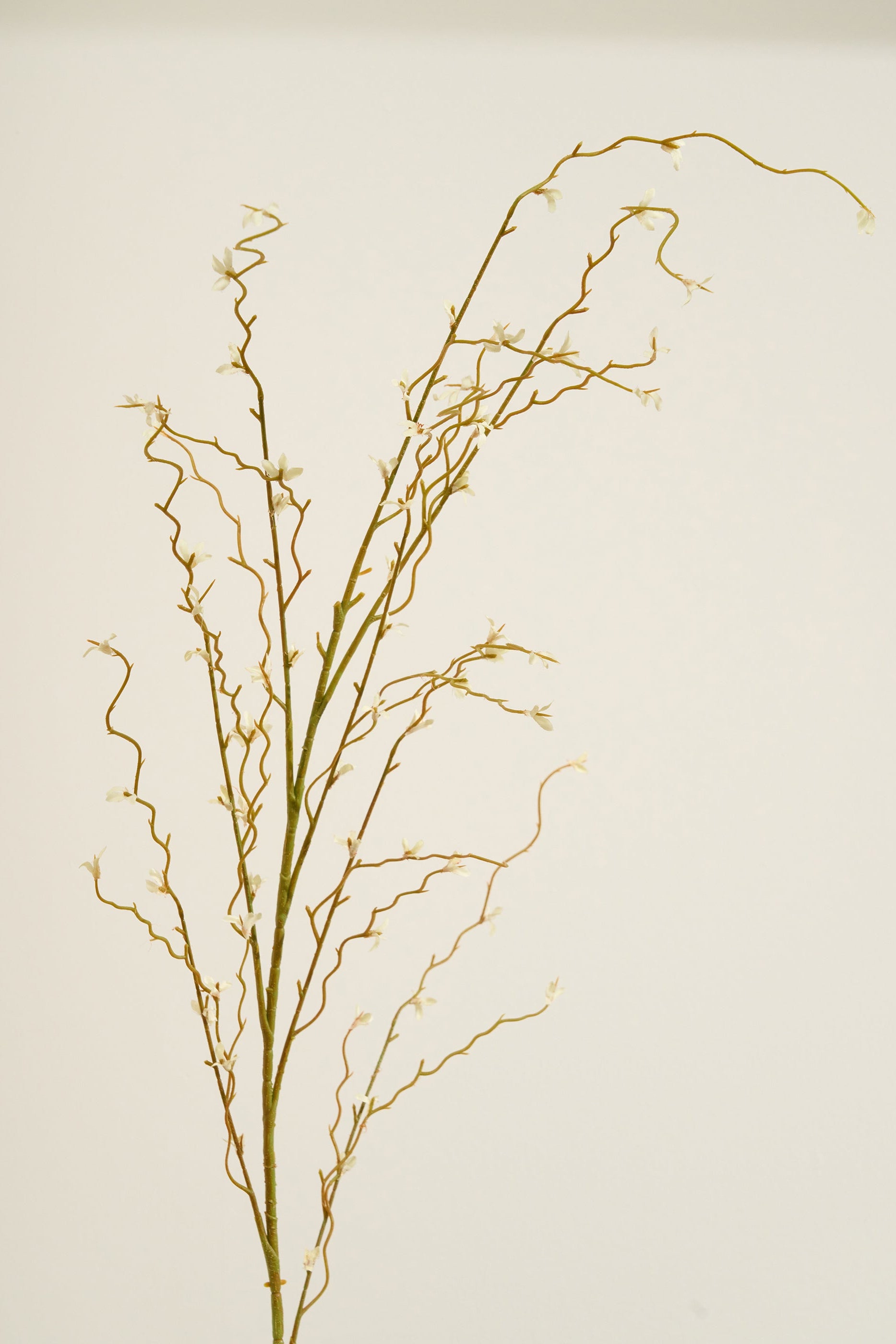 Truly Lifestyle Faux Willow Spray Stem Straight Up