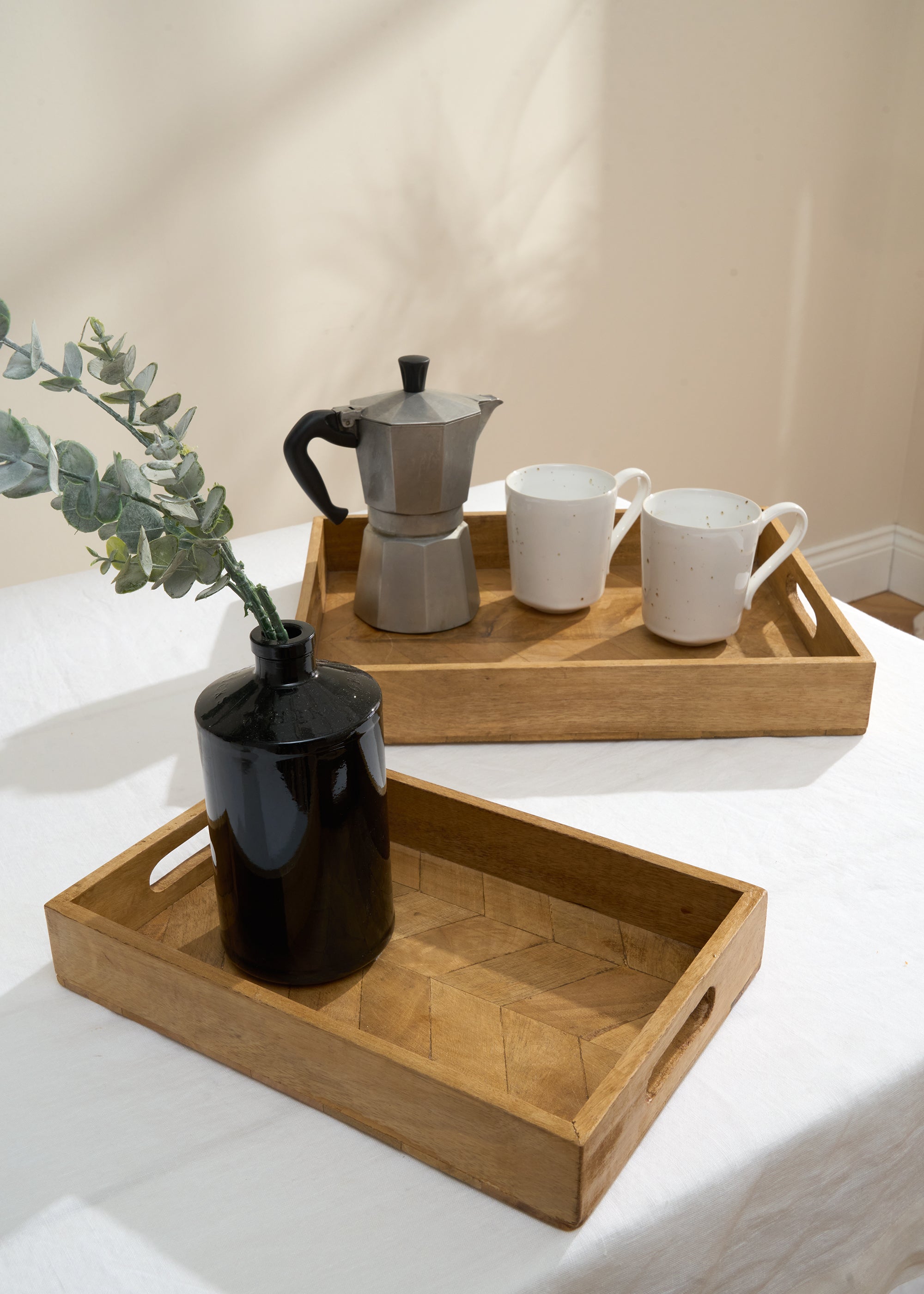 Set of 2 Mango Wood Trays