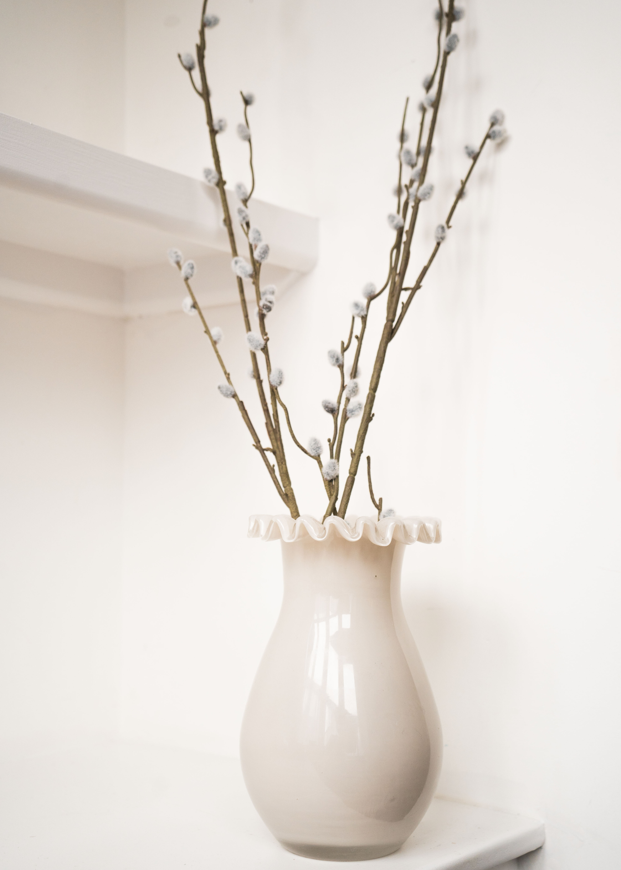 Truly Lifestyle White ceramic vase with decorative rim holding willow branches on a white background