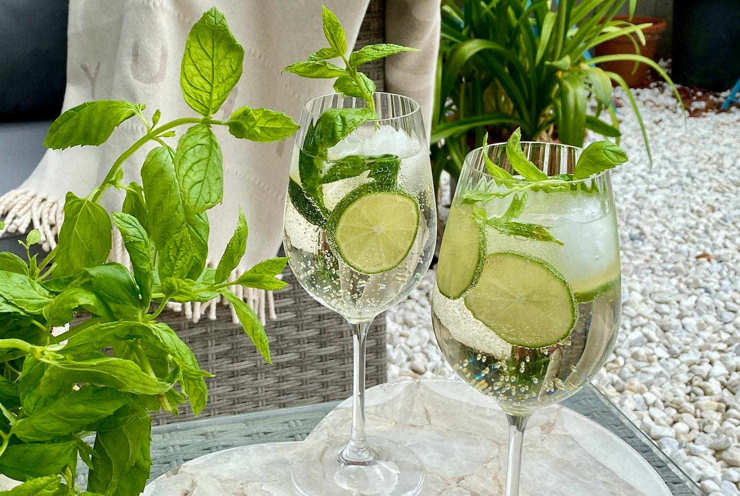 Summer Cocktails the Perfect Recipes for you this summer