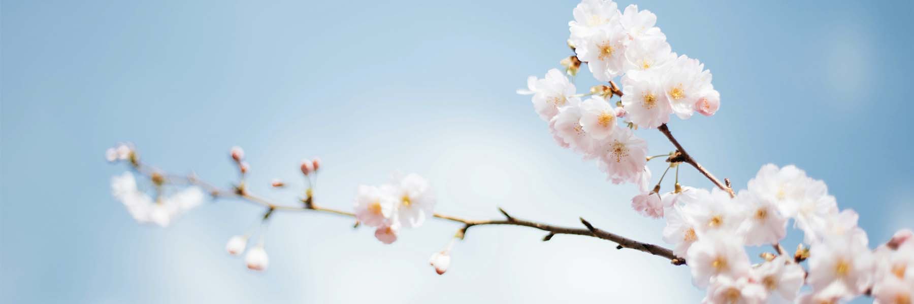 Spring Clean Your Life