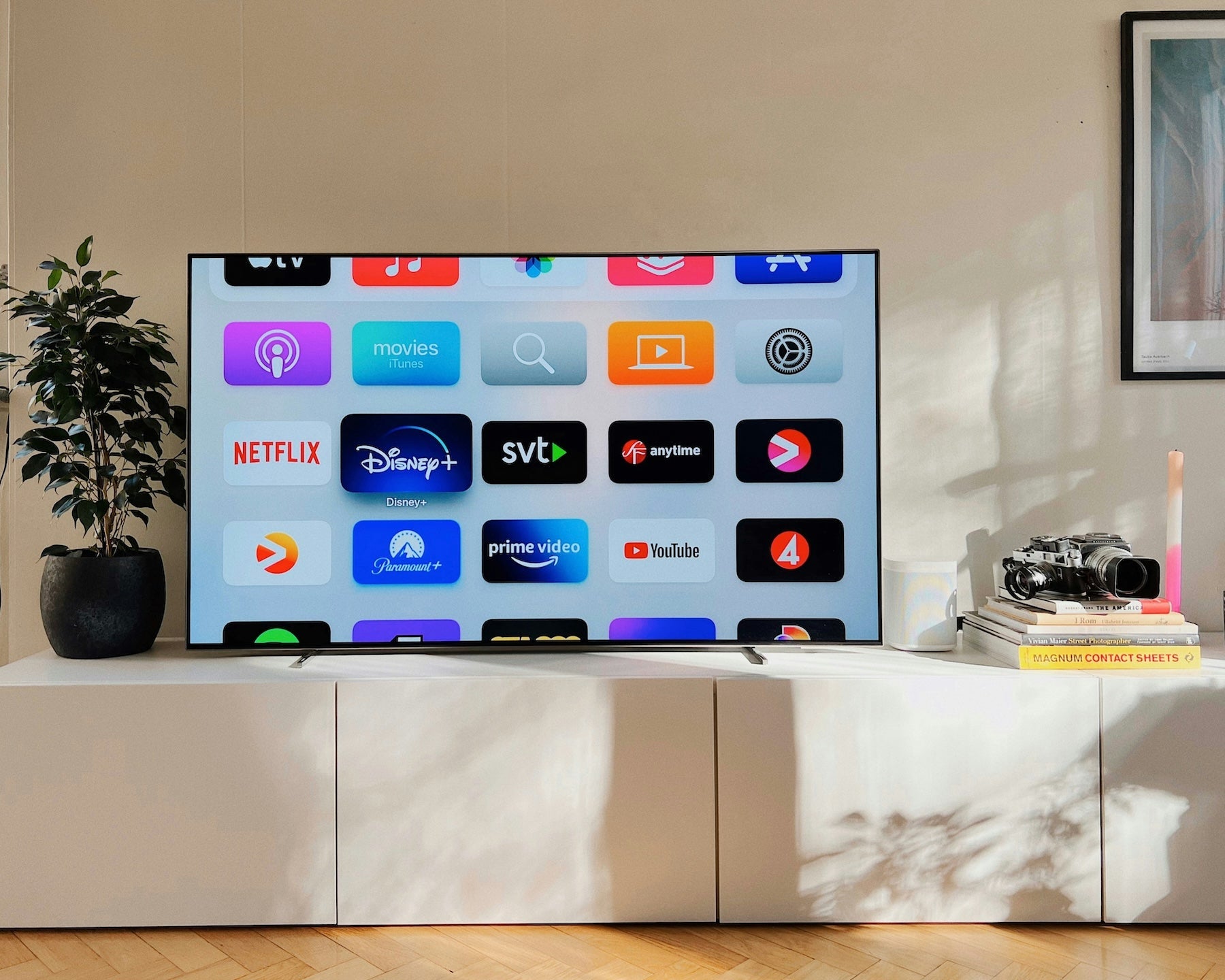 Must-Watch Streaming Recommendations for Summer 2024