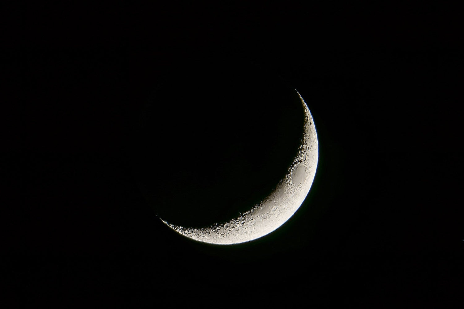 Embracing the Full Moon and Partial Lunar Eclipse