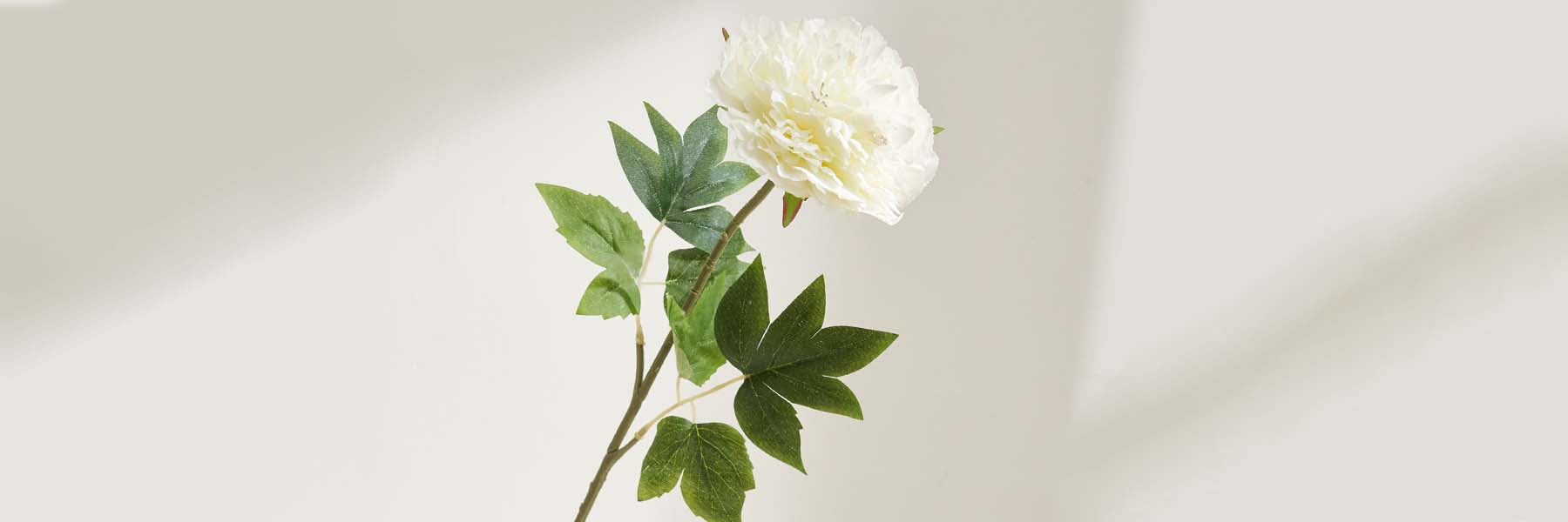 Truly Lifestyle White Faux Peony Flower