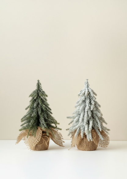 Truly Lifestyle Two small decorative trees in burlap bags on a plain background
