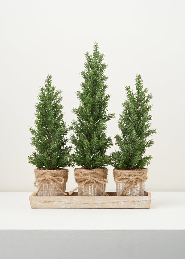 Set of 3 Christmas Trees