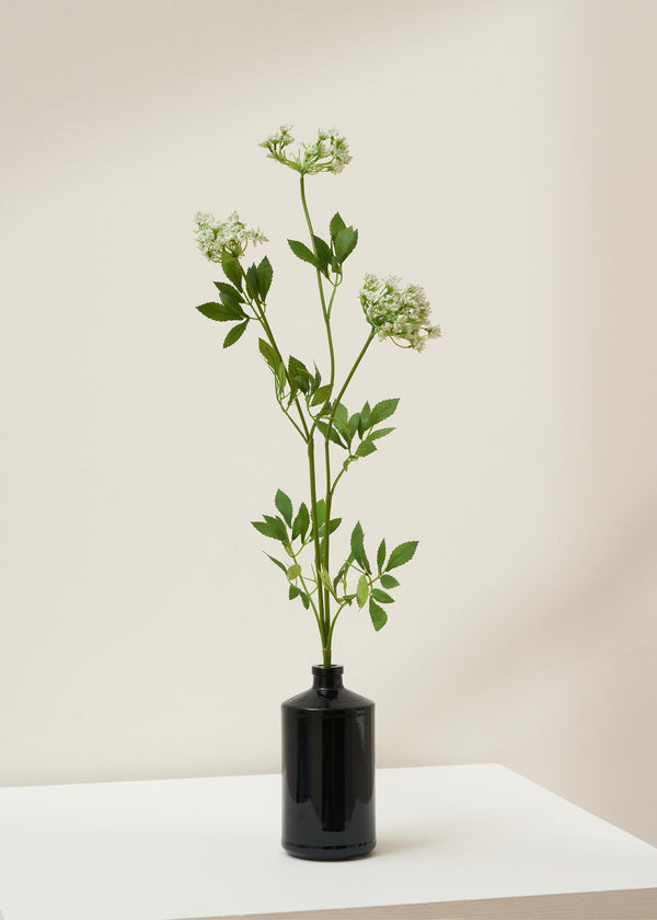 Faux White Cow Parsley Ammi Stem In Hendrix Jar