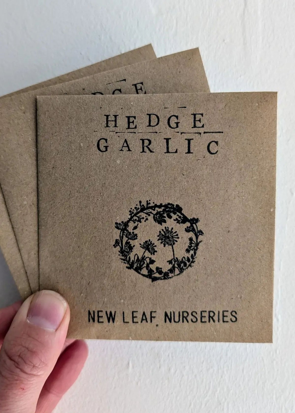 Garlic Hedge Seeds