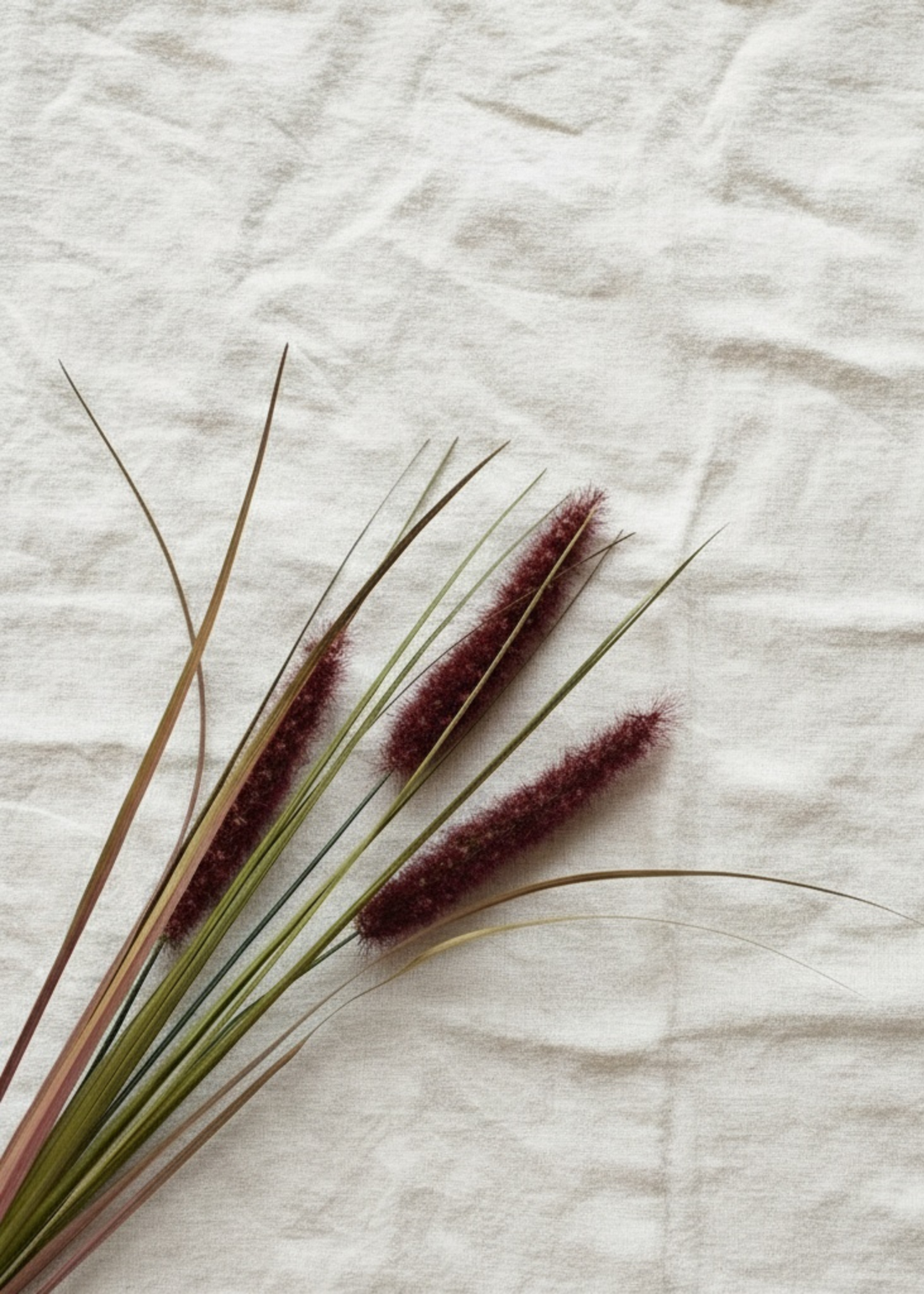 Truly Lifestyle Faux Ruby Triple Grass Stem Close Up