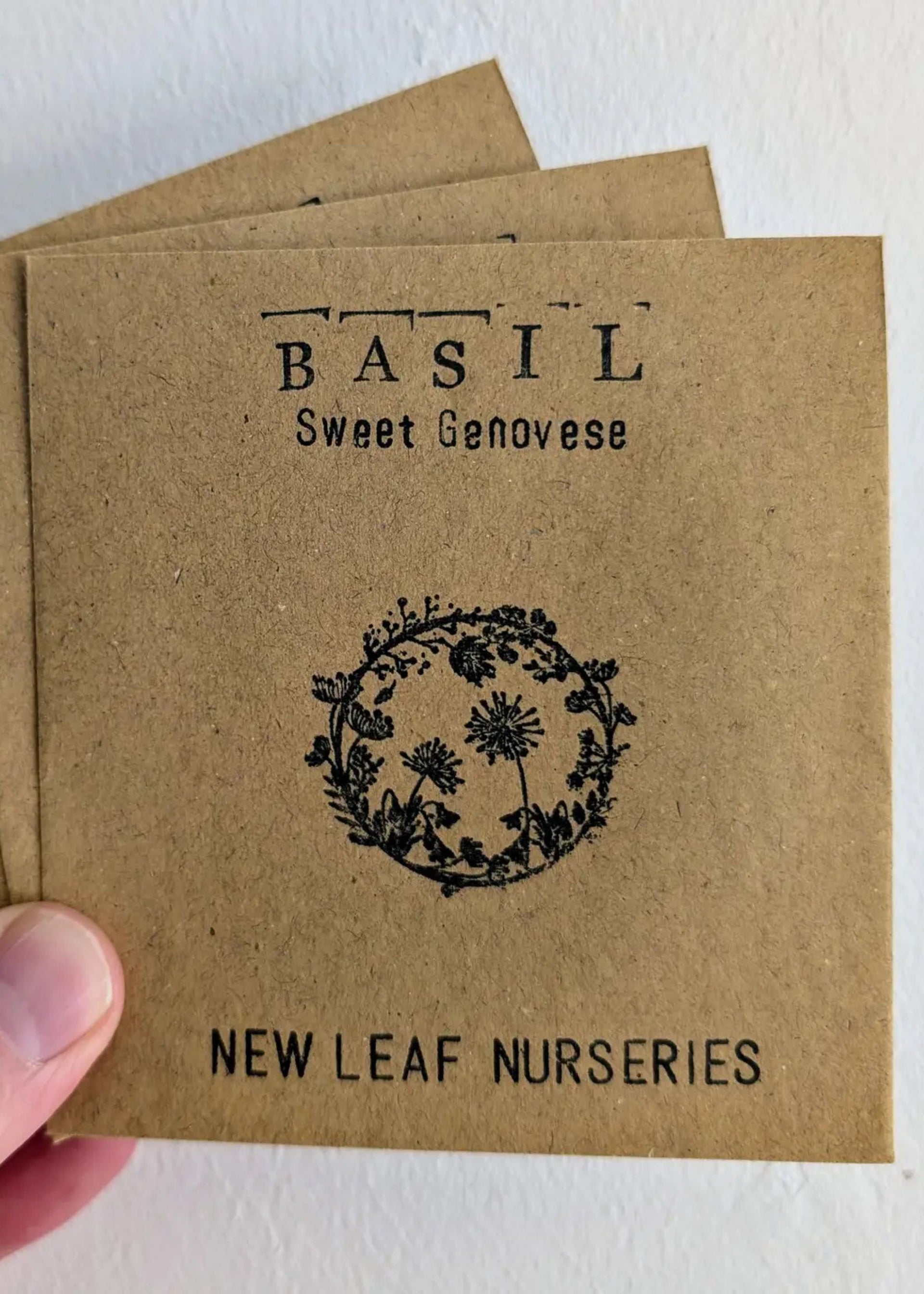 Basil Sweet Genovese Seeds