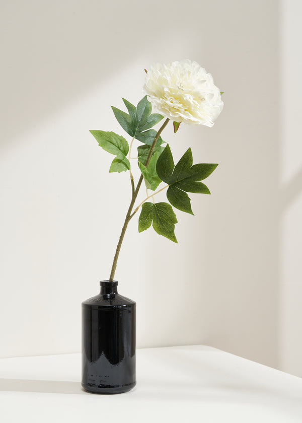 TRULY LIFESTYLE SINGLE WHITE PEONY IN GLASS VASE
