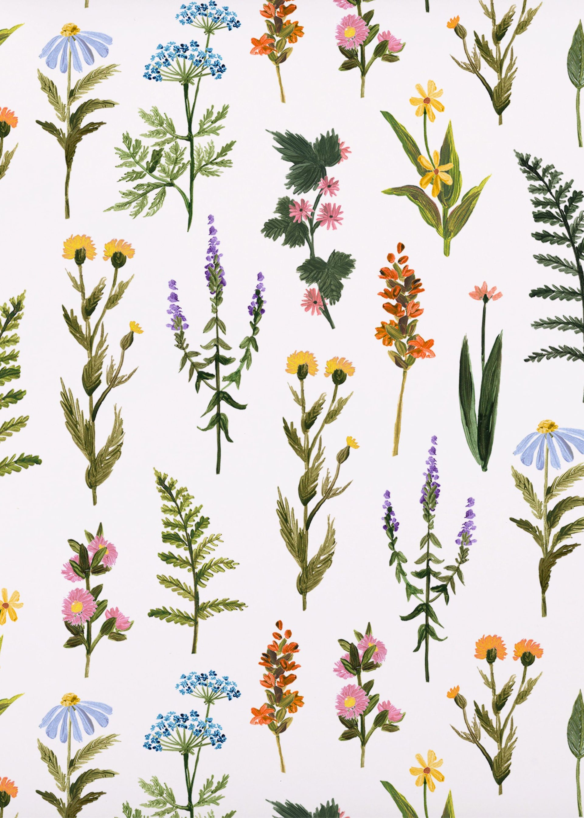 Ferns & Flowers Wrapping Paper
