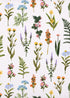 TRULY LIFESTYLE FERN AND FLOWER WRAPPING GIFT PAPER
