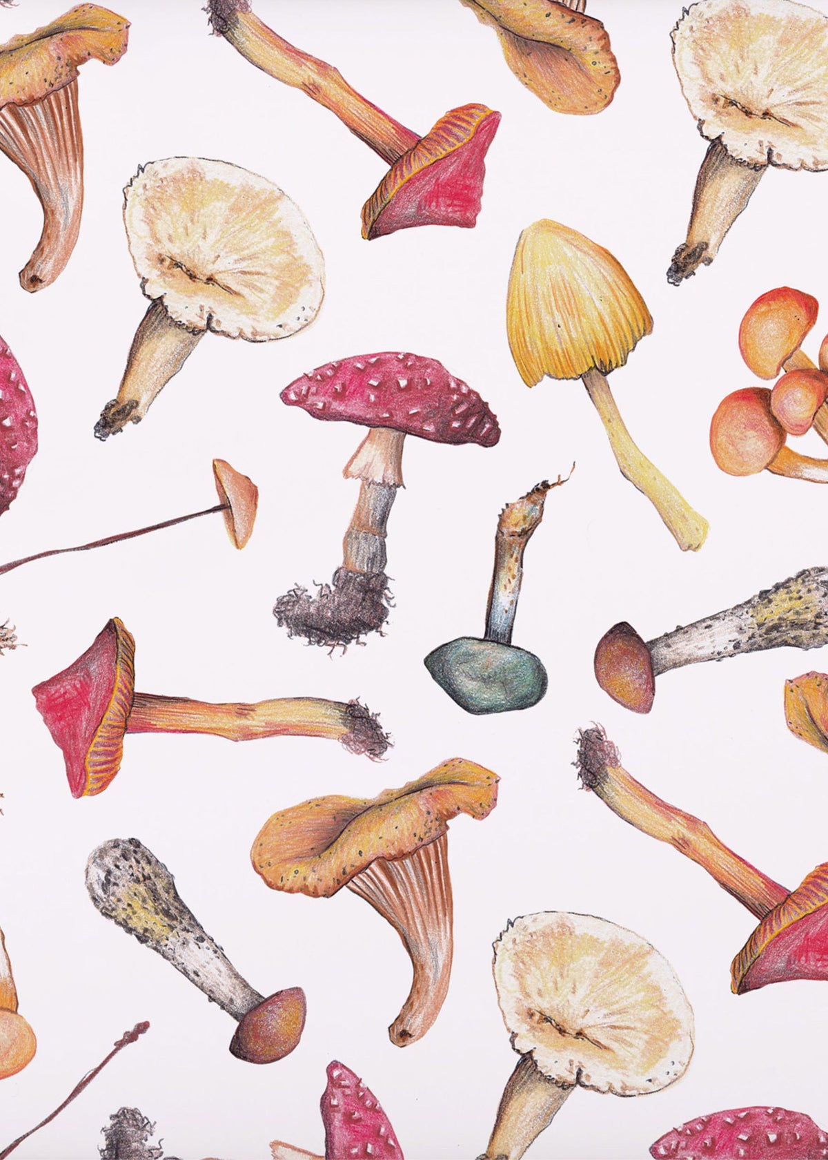 Mushroom Wrapping Paper