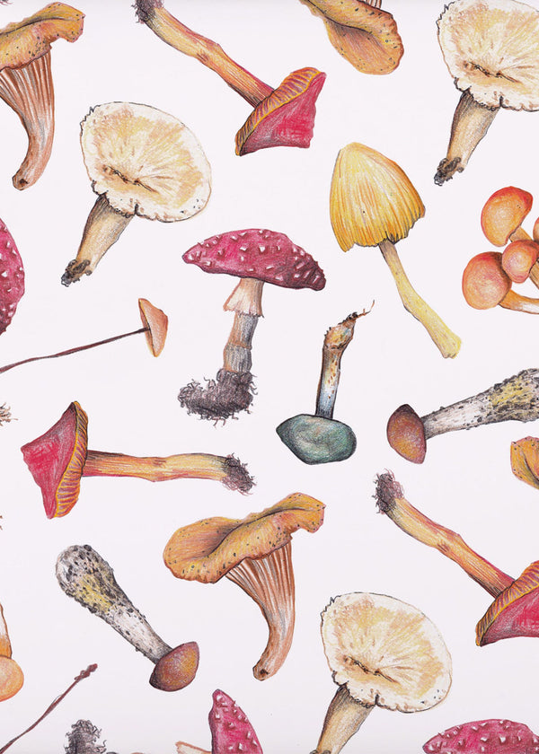 TRULY LIFESTYLE MUSHROOM PRINT WRAPPING PAPER