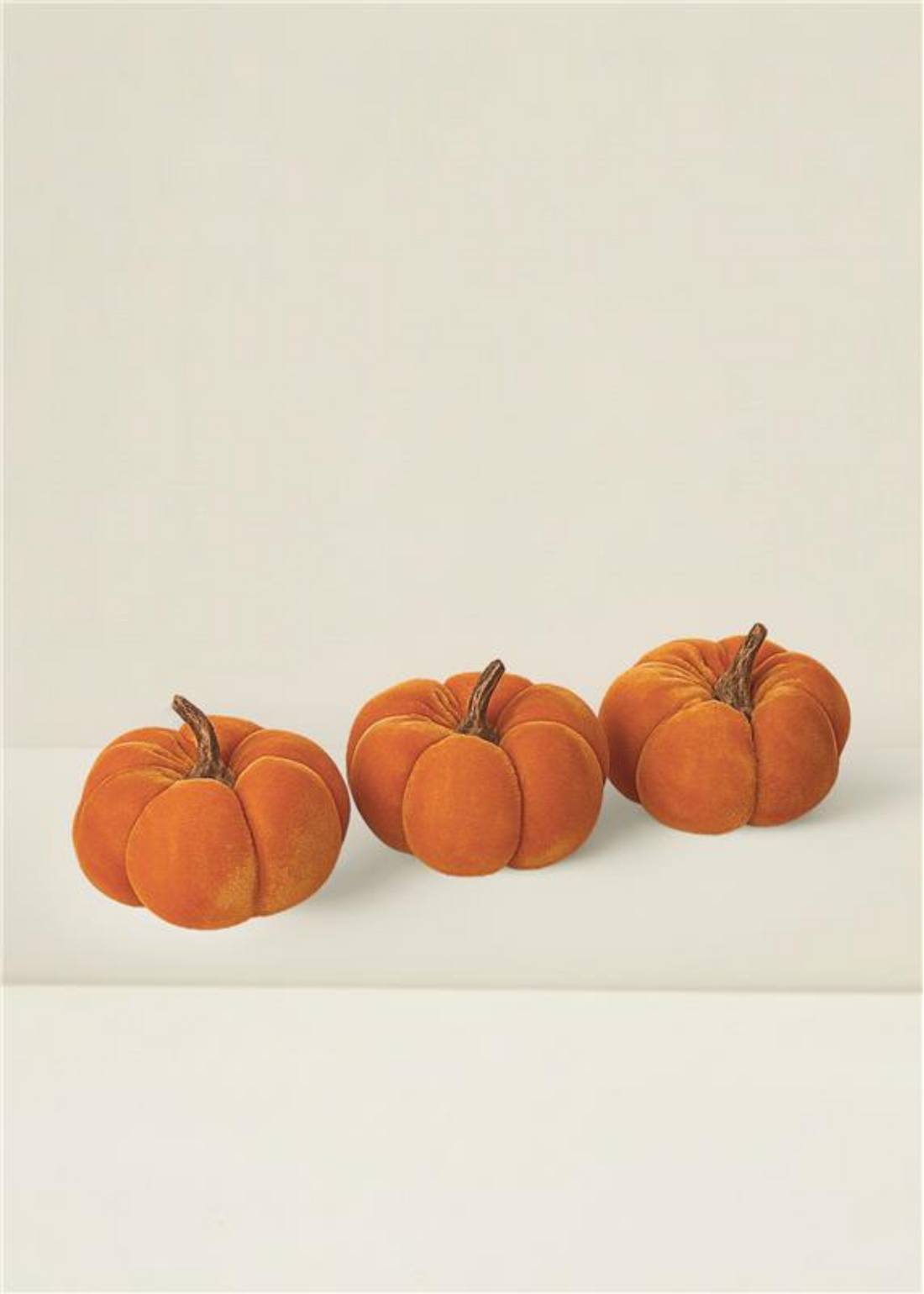Three orange pumpkins on a beige background by Truly Lifestyle
